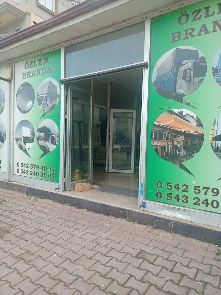 Frame and awning structures Ozlem Tarpaulin, Antalya, photo