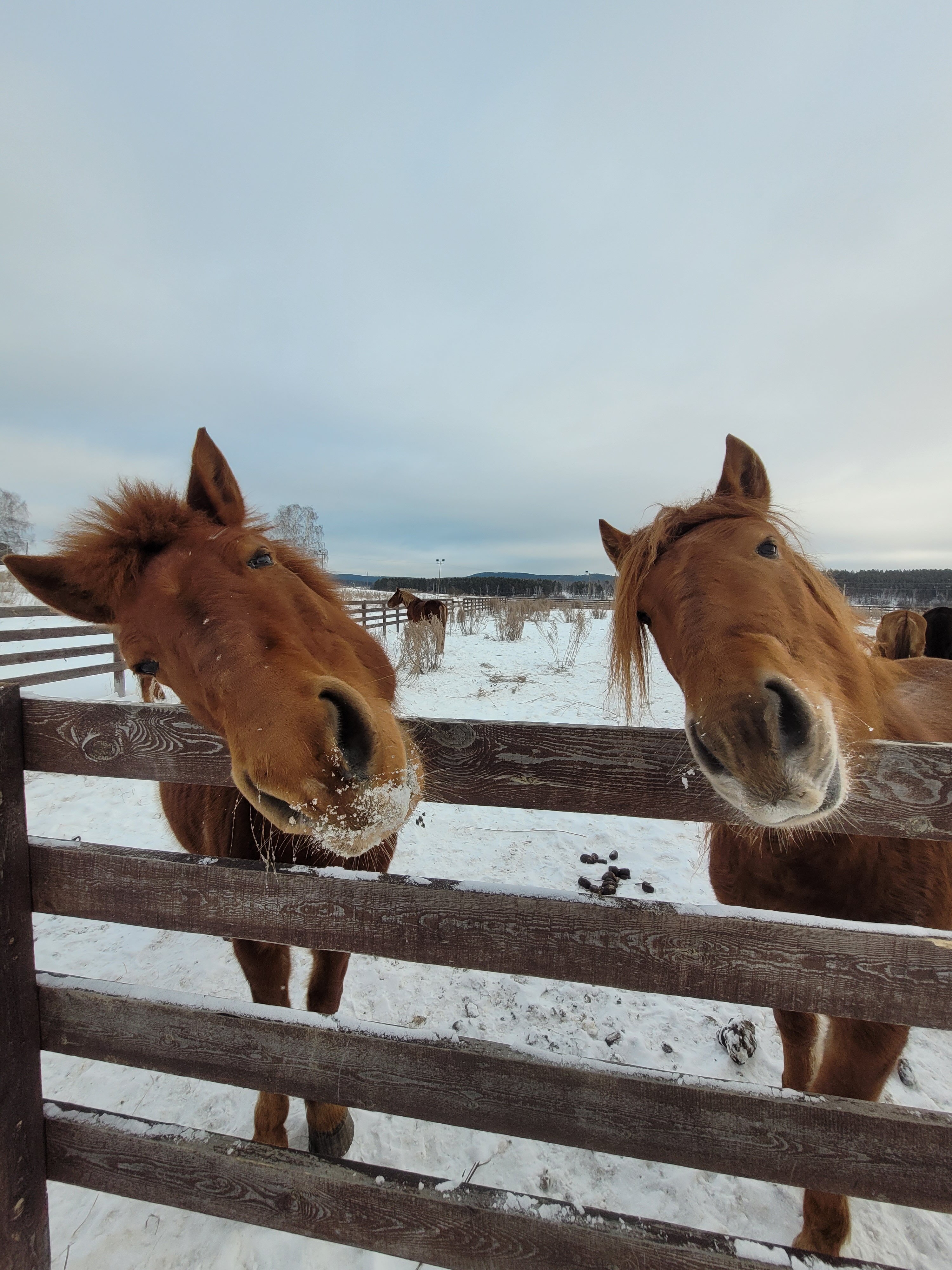 Фото Арский камень