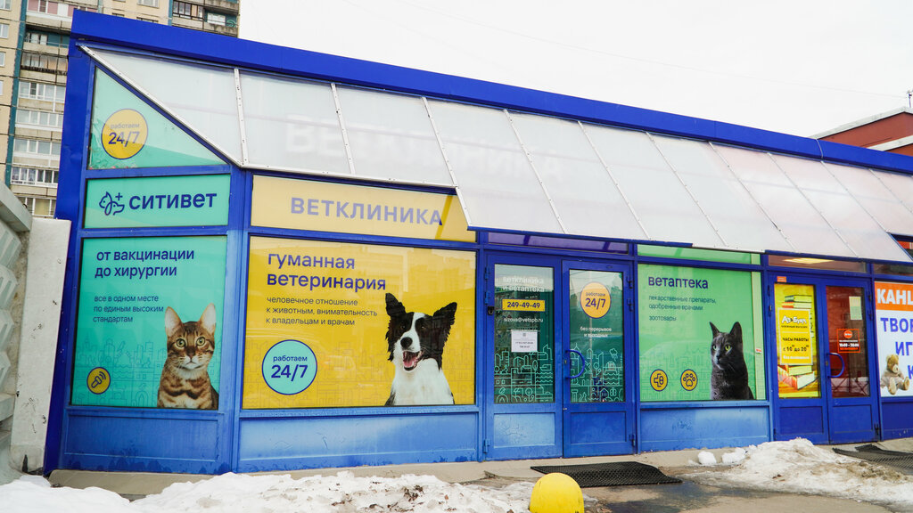 Veterinary clinic CityVet, Saint Petersburg, photo