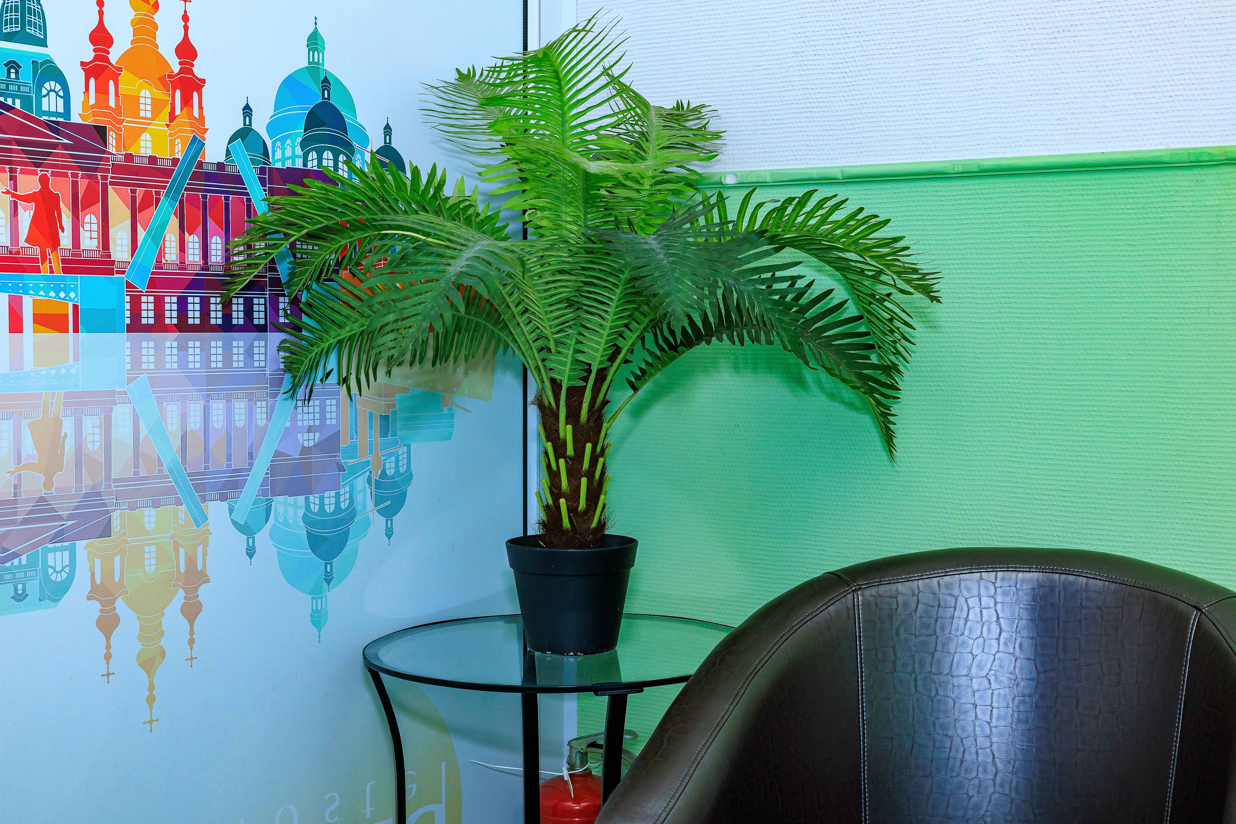 Фото В сердце Питера