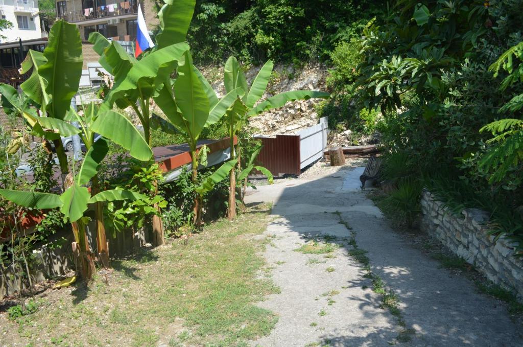 Фото Дом с флагом