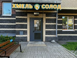 Khmel' Solod (posyolok Pesochny, Sadovaya ulitsa, 88), cervecería