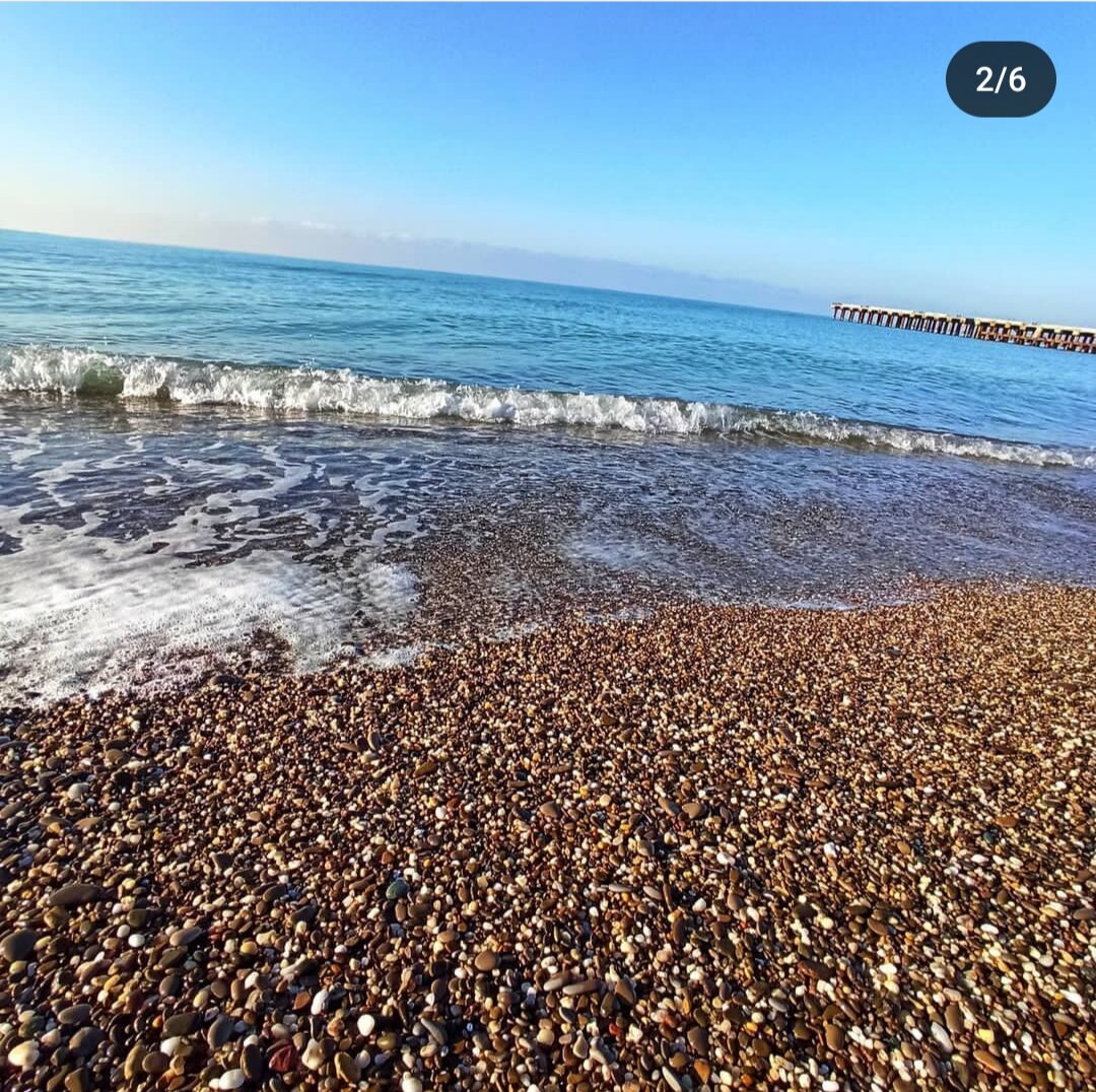 Фото Селена