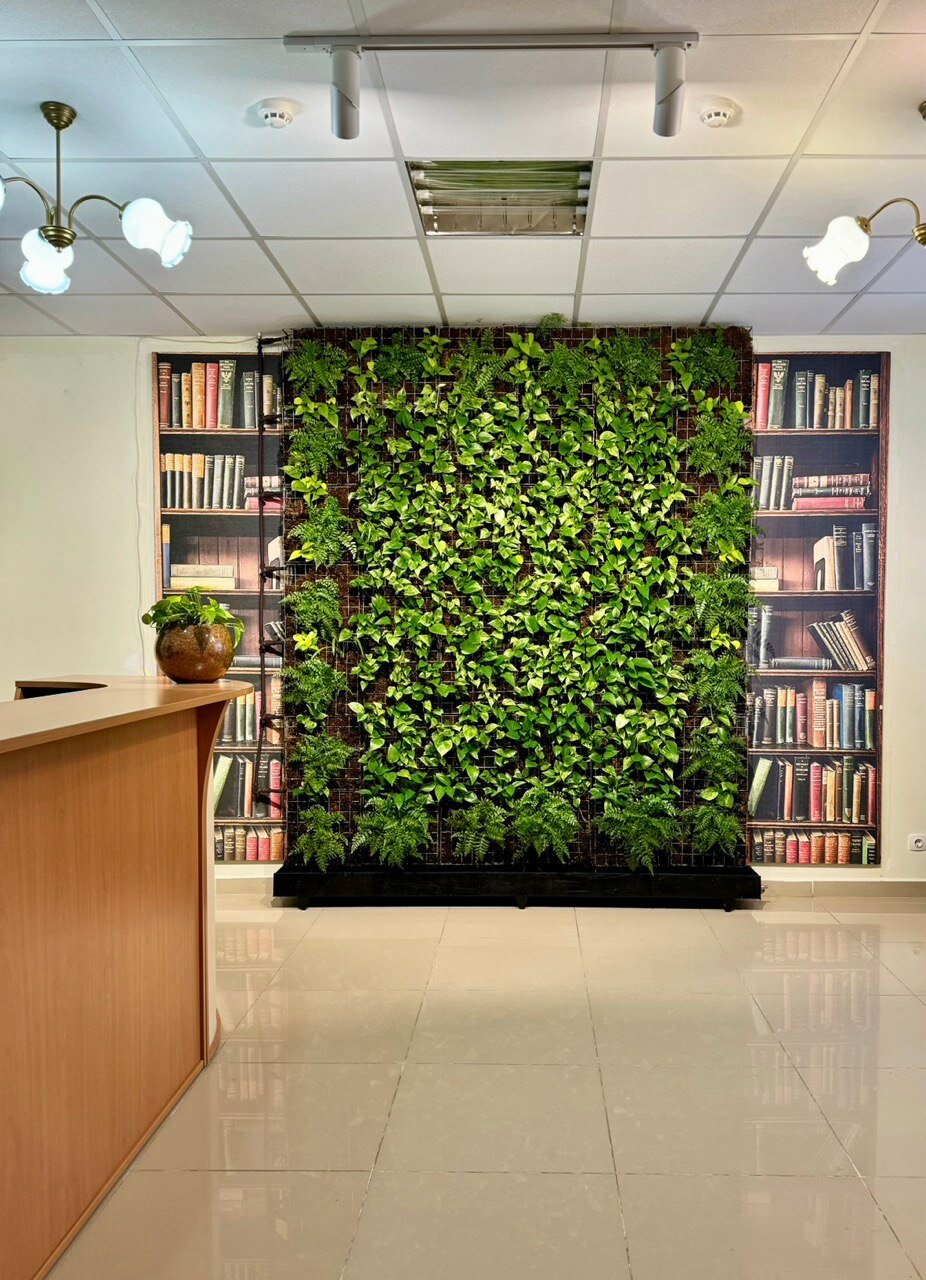 Фото Континенталь Green Dream