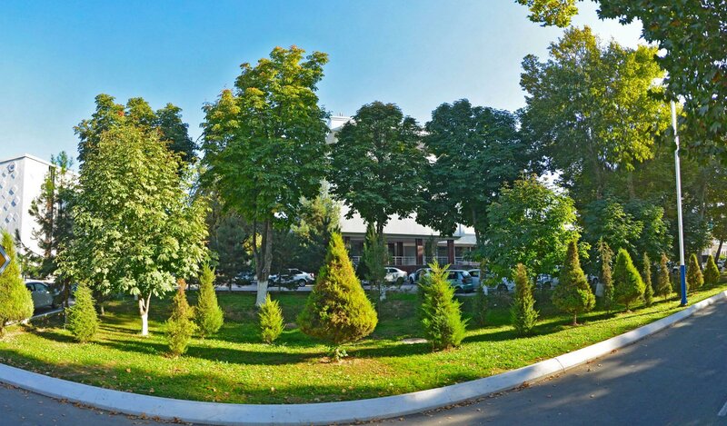 Samolyotlarda porno video