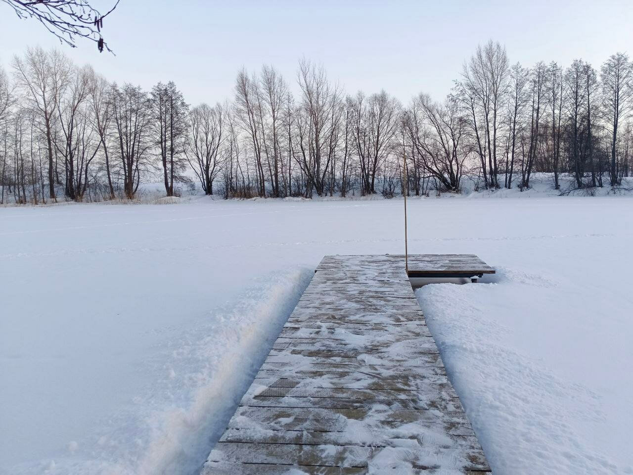 Фото Елховый берег