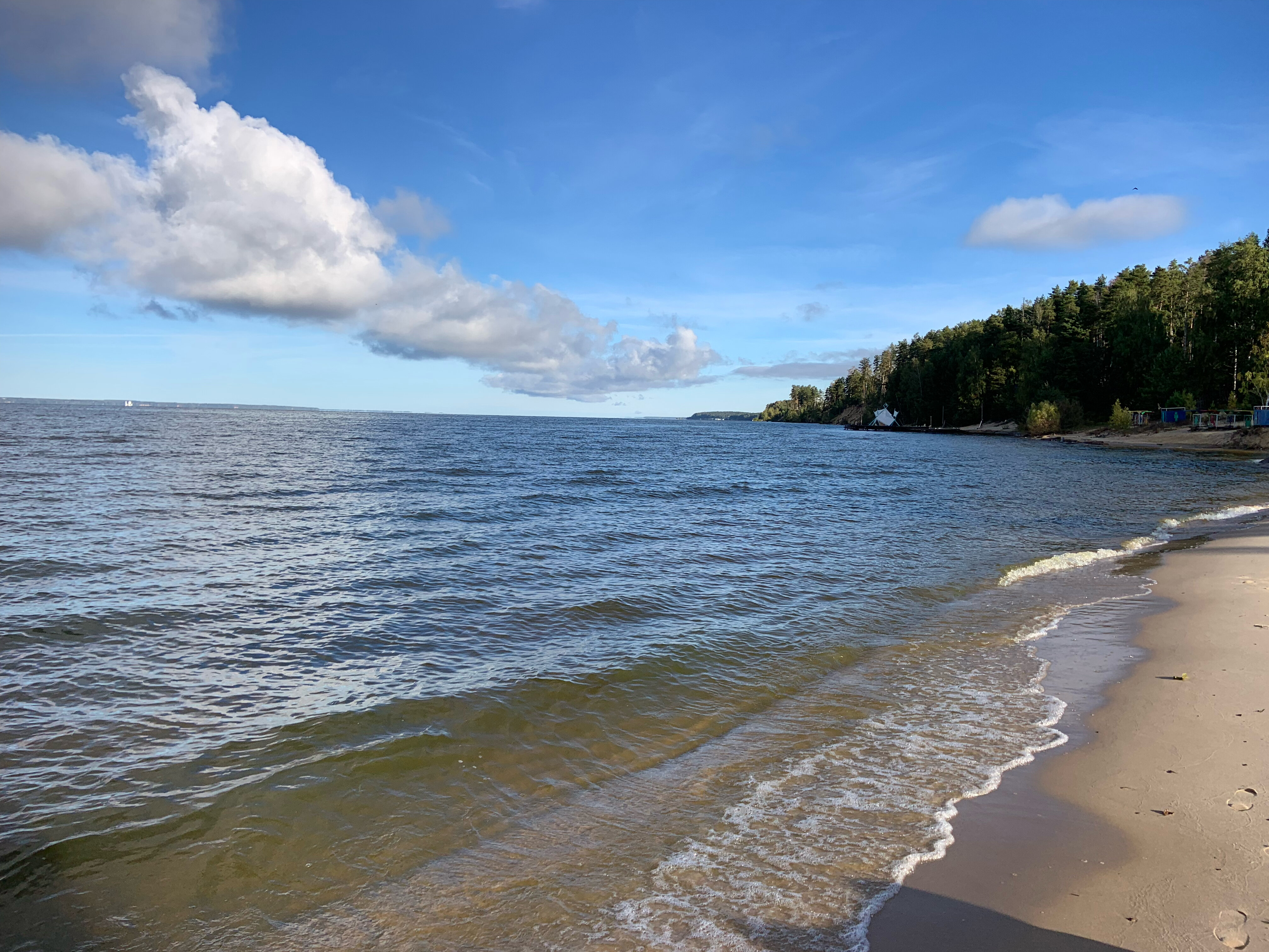 Фото Буревестник