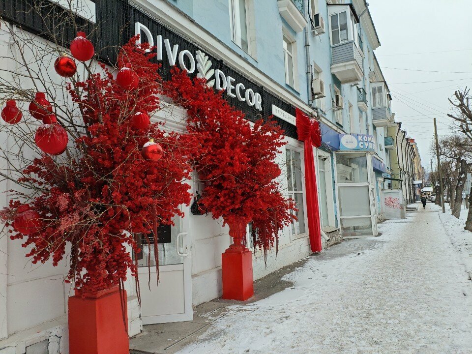 النباتات والزهور الاصطناعية Iskusstvennyye tsvety - Divo-dekor ، كراسنويارسك، صورة