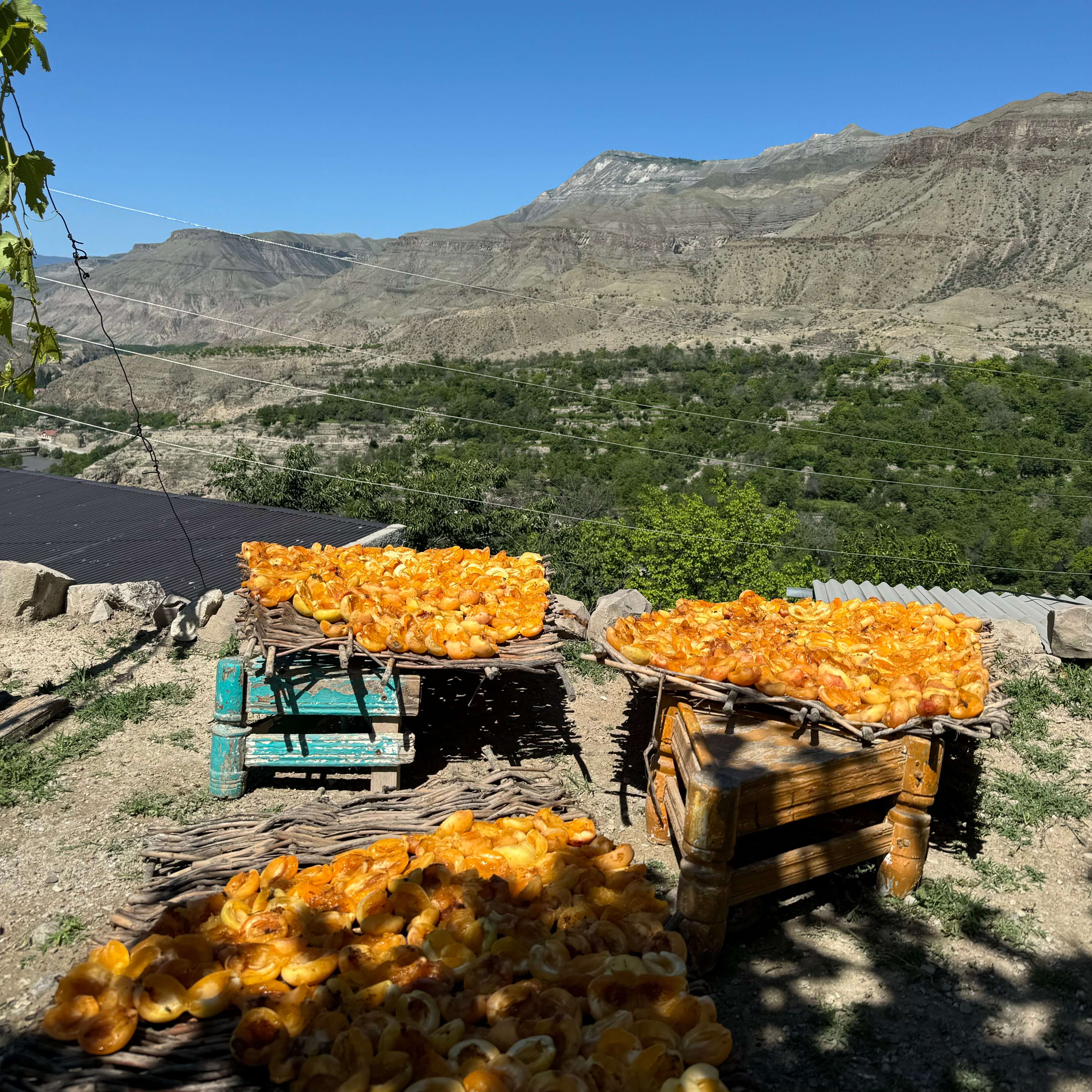 Фото МириДа