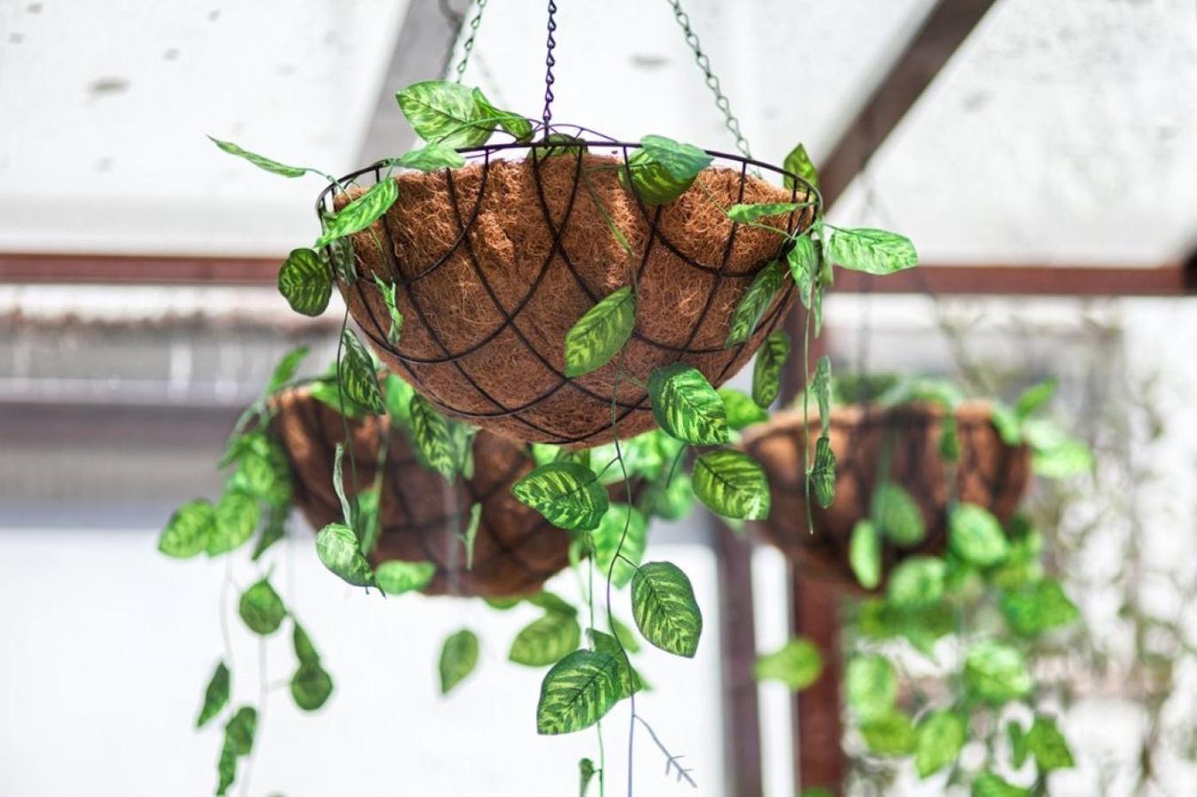 Фото Vientos de Marbella