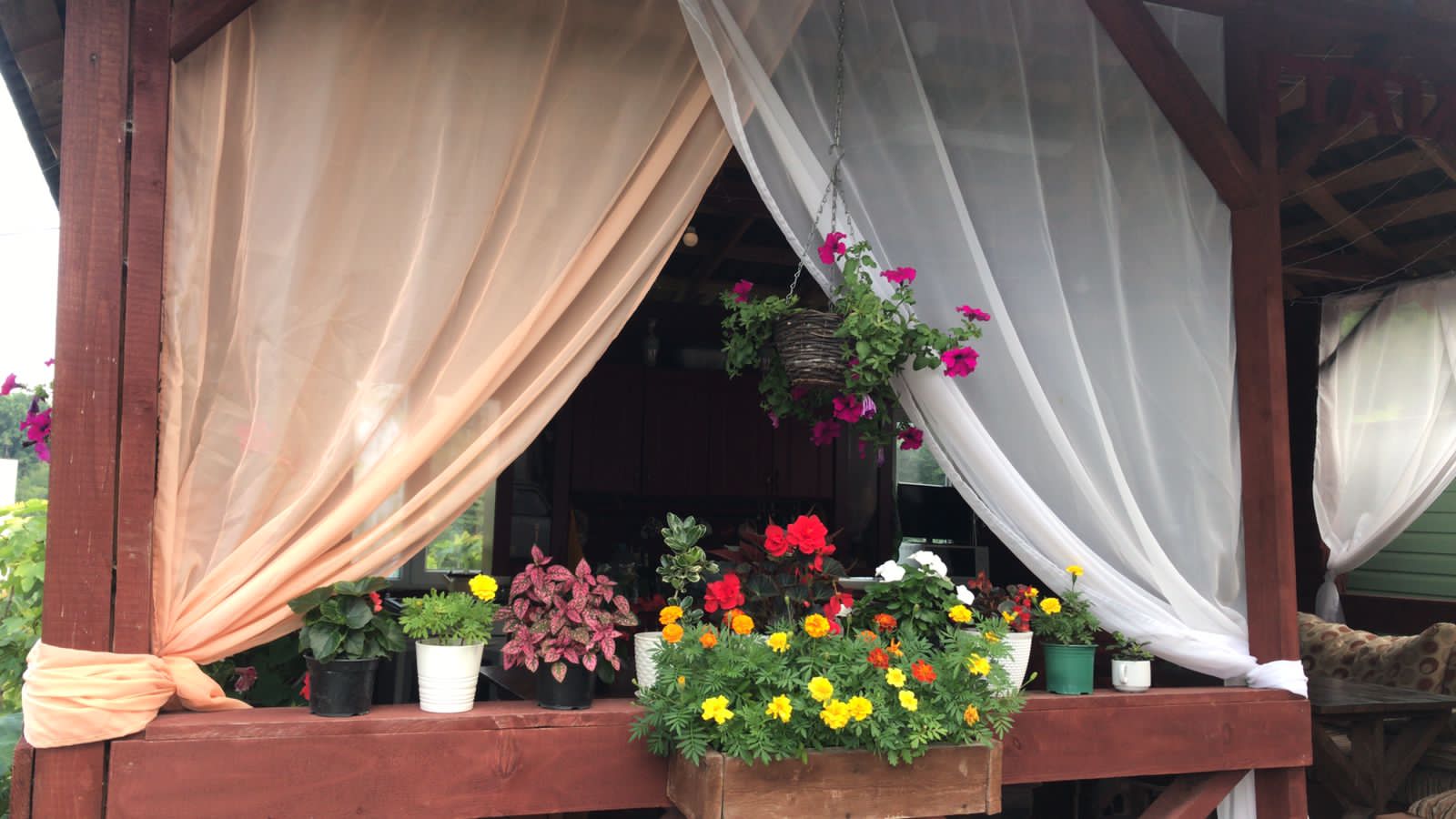 Фото Южный Вайб