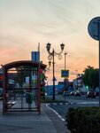 Универмаг (Viciebskaja voblasc, Glybokaje, ulitsa Lenina) ، توقف وسائل النقل العام