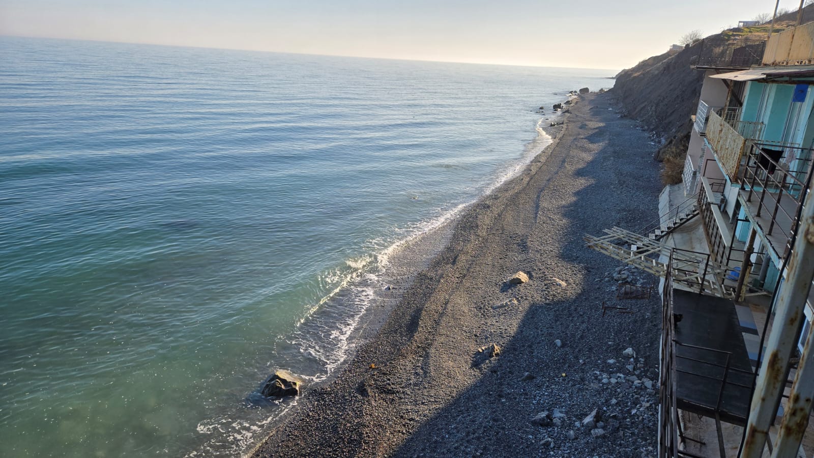 Фото Горная лаванда