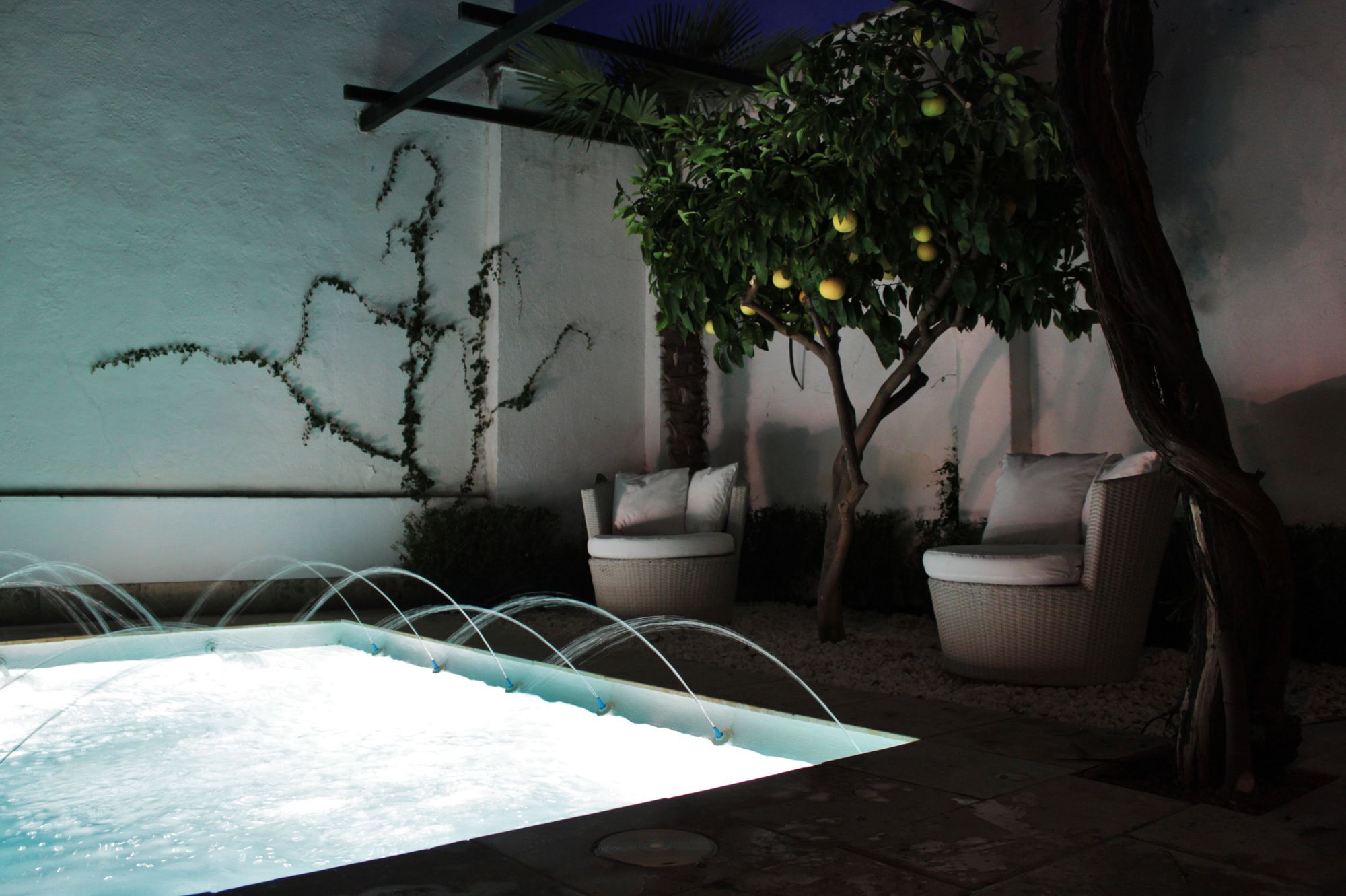 Фото Rosa de Comares