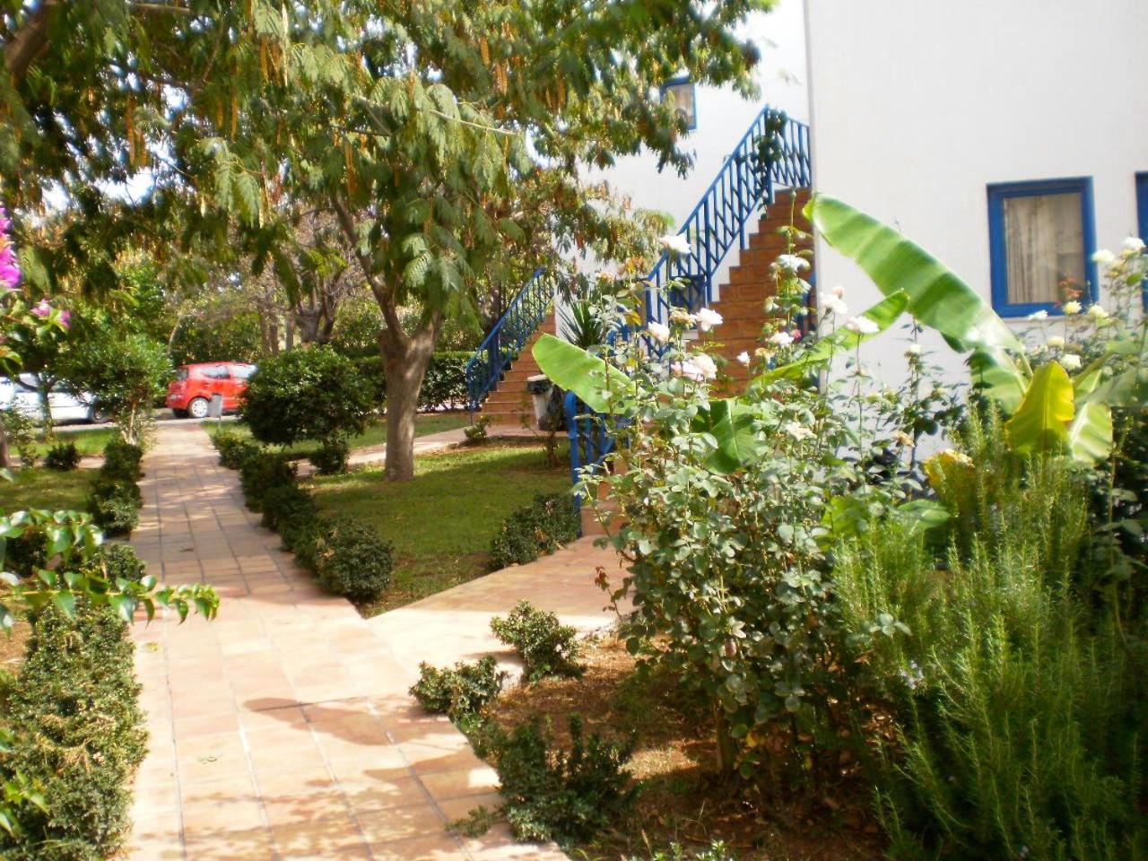 Фото Oasis Hotel