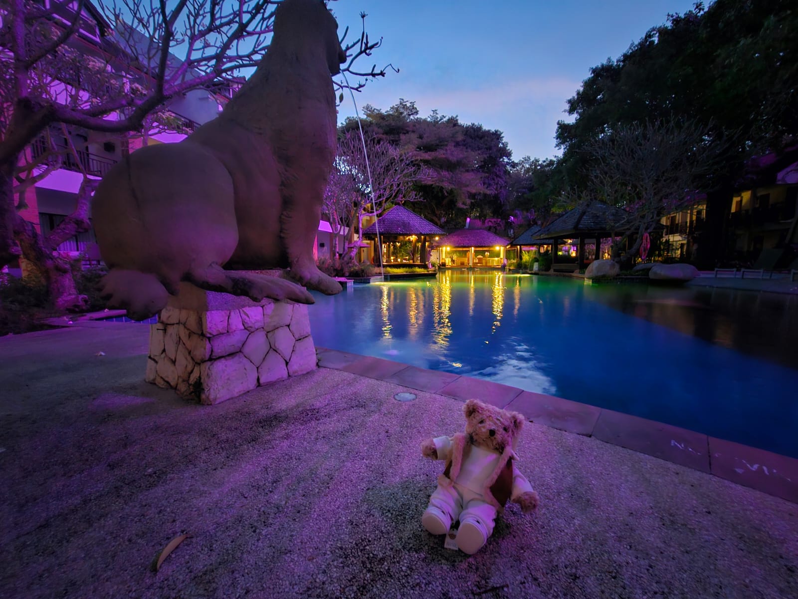 Фото Woodlands Hotel & Resort