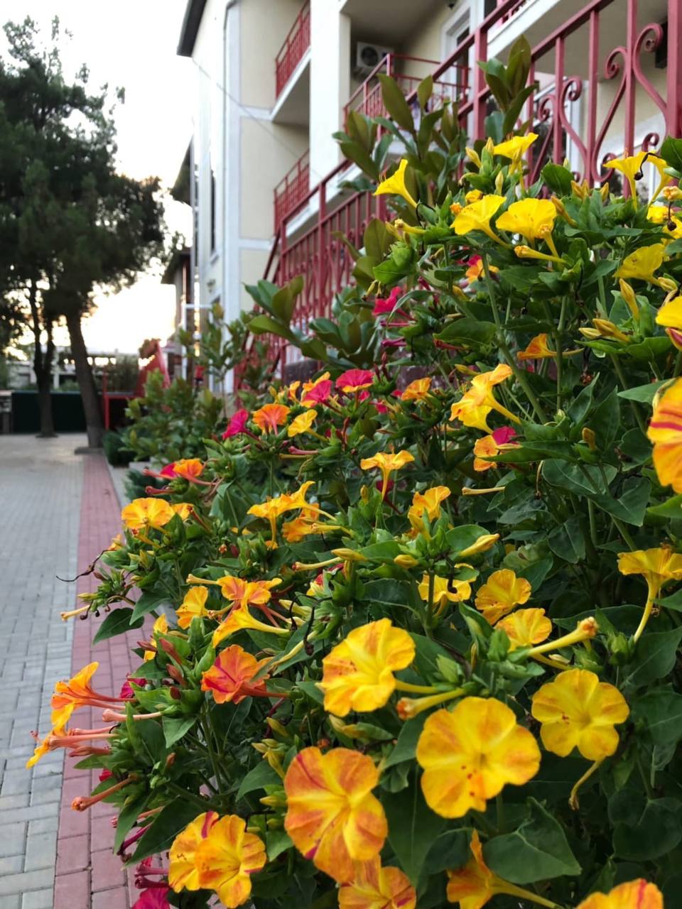 Фото отеля 4