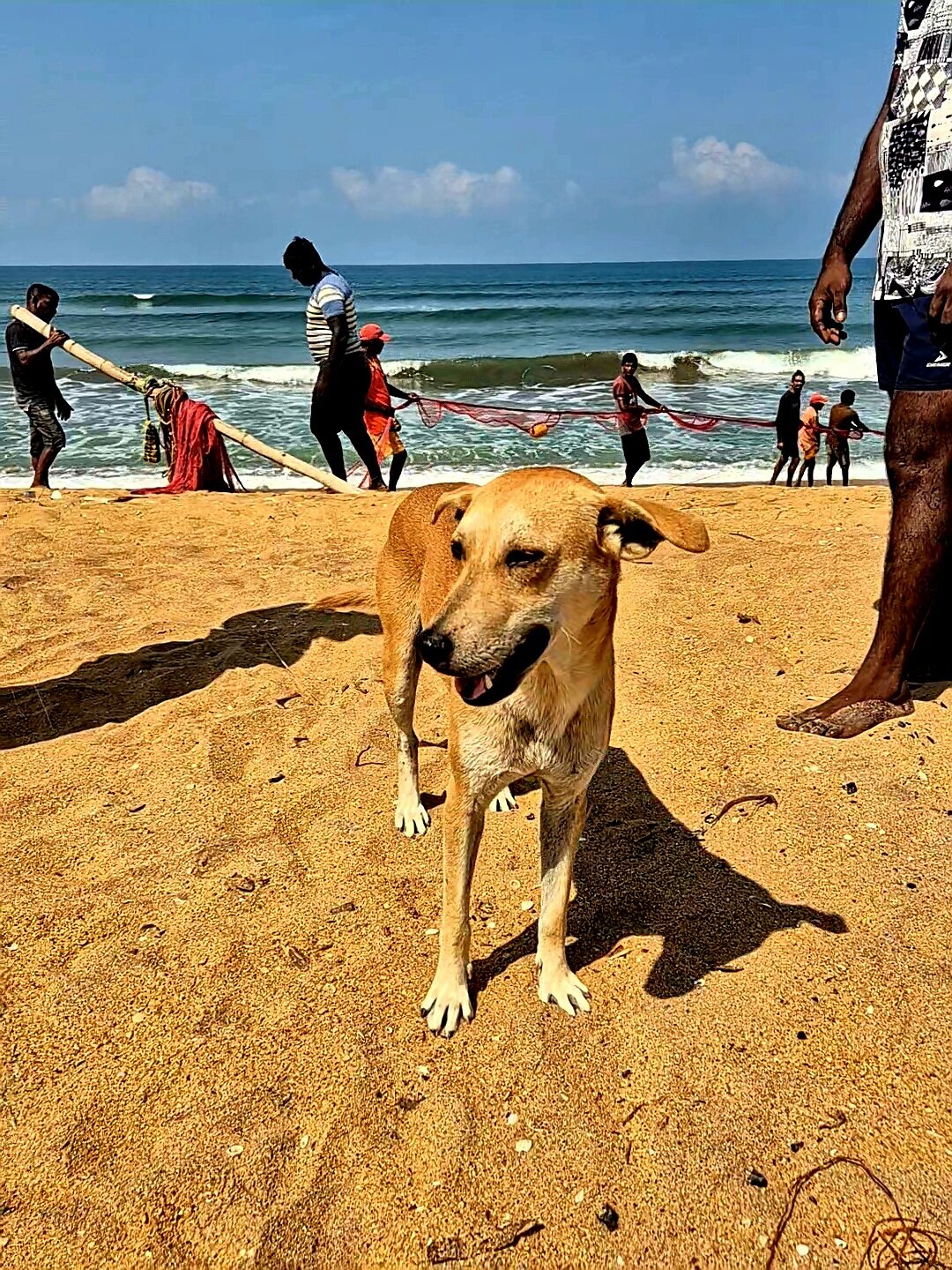 Фото Grand Beach