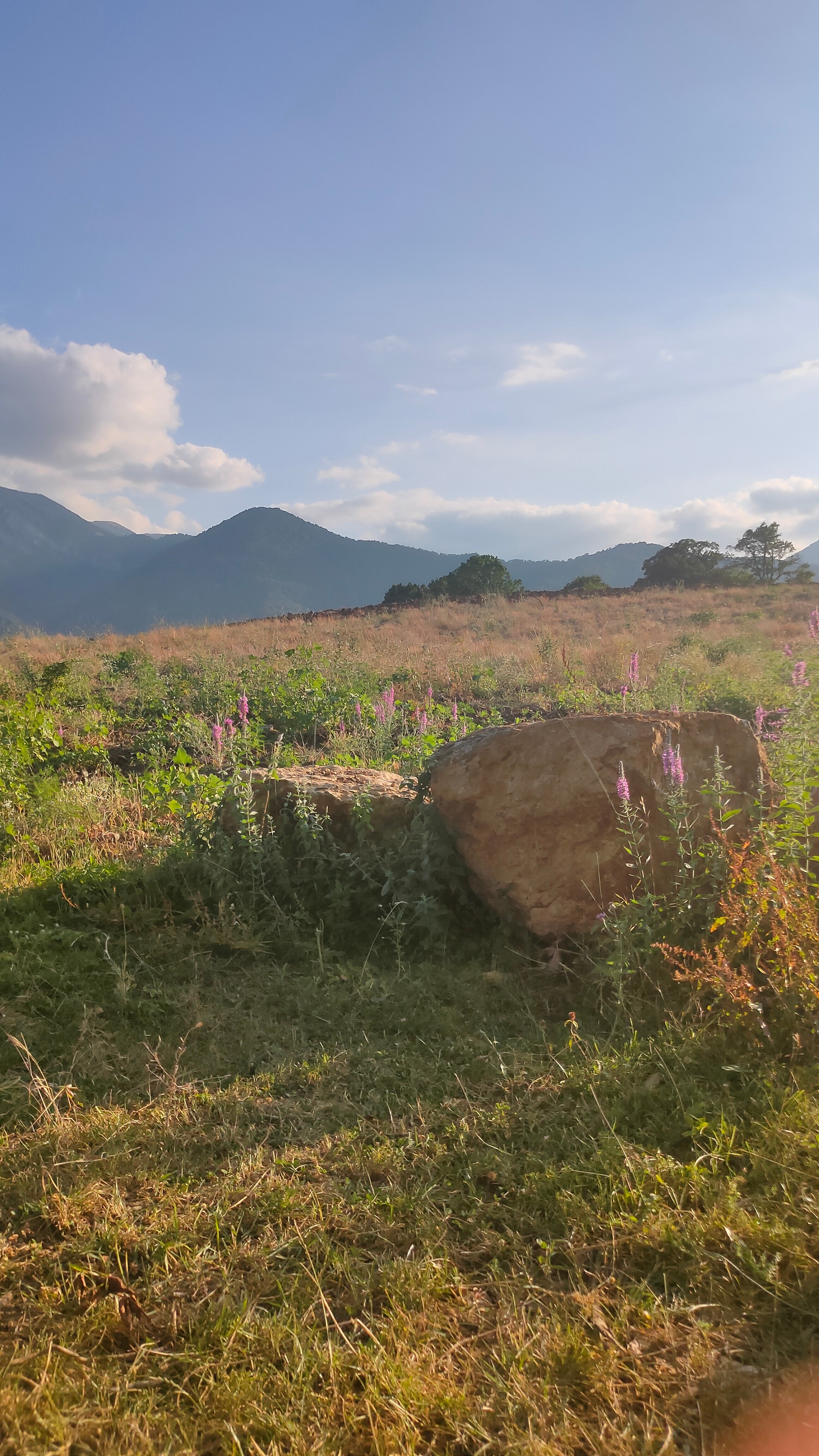 Фото Купольный домик в горах Крыма