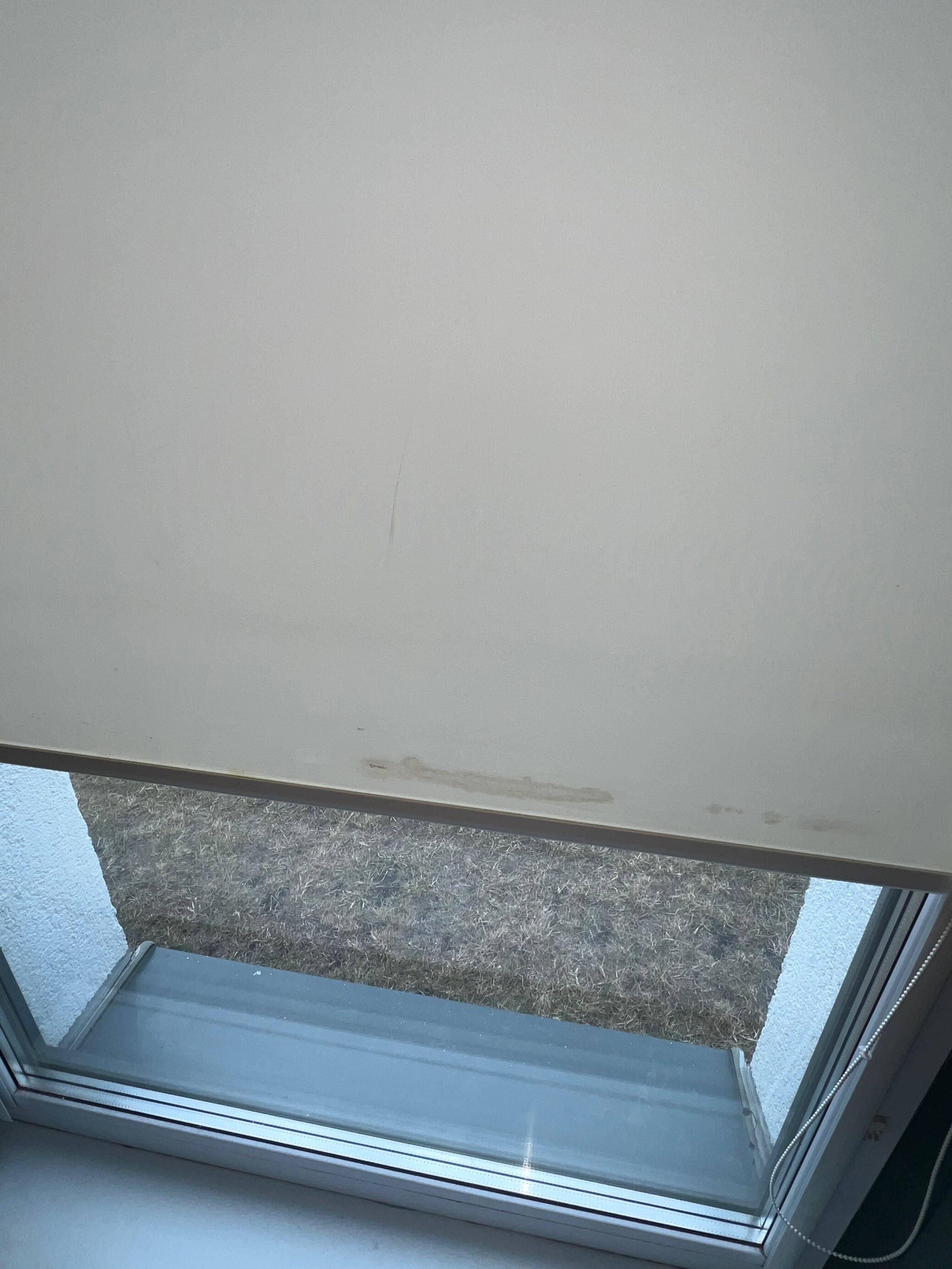 Фото Степаненков на Амундсена 7