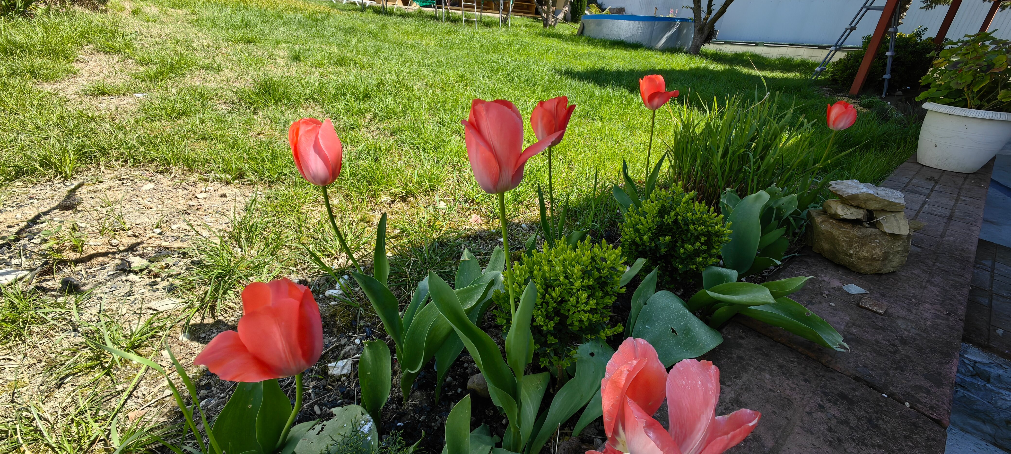 Фото Мебелированные комнаты на Черноморском побережье