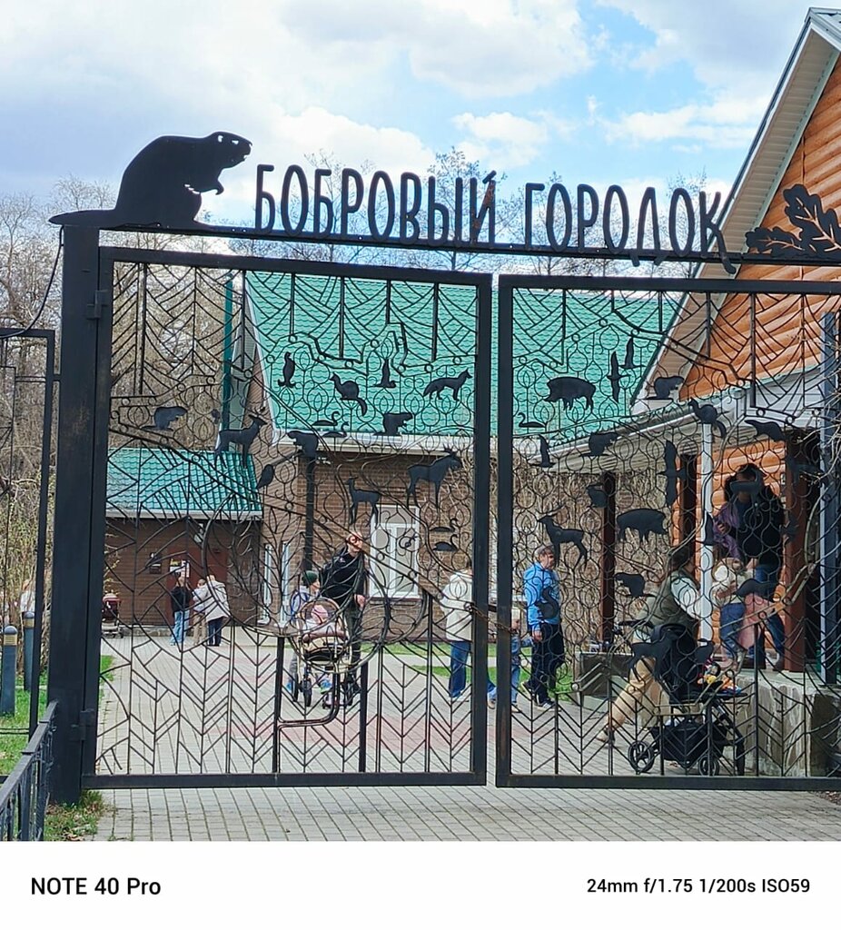 Nature reserve Voronezhsky State Nature Biosphere Reserve named after V. Peskov, Voronezh Oblast, photo