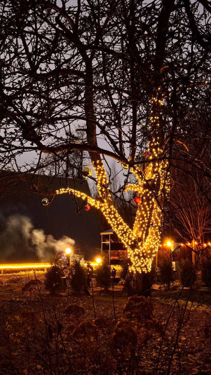 Фото Лисичкин дом