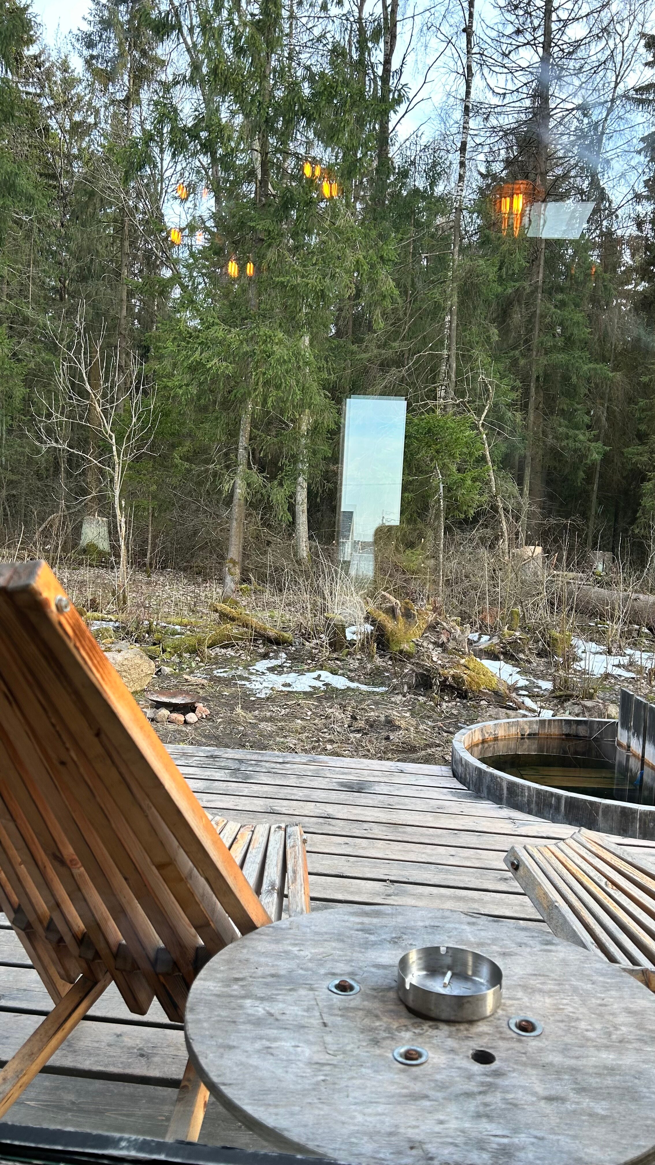 Фото Дзен в лесу