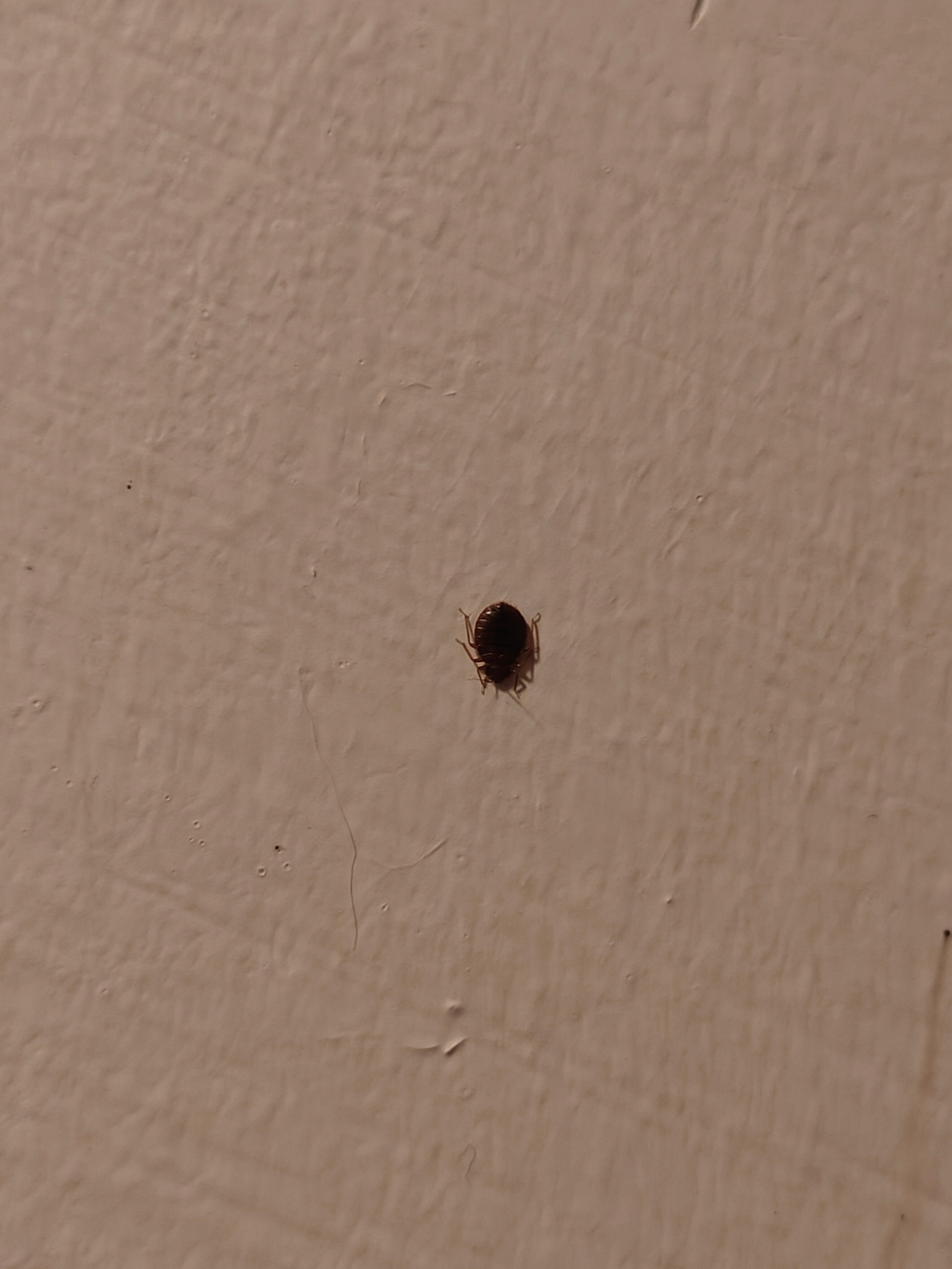 Фото Tirreno Hotel