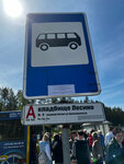 Mogilki Liesina (Bresckaja voblasć, N-337), public transport stop