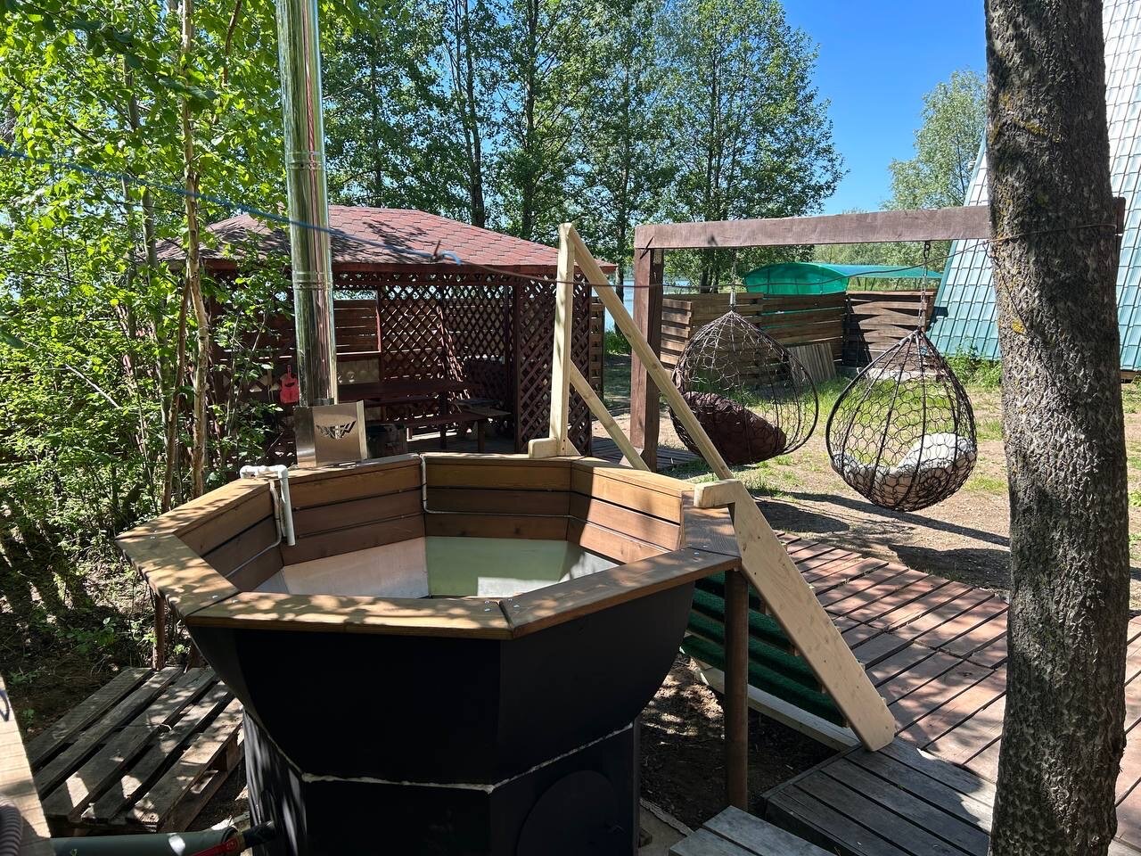 Фото Облепиха