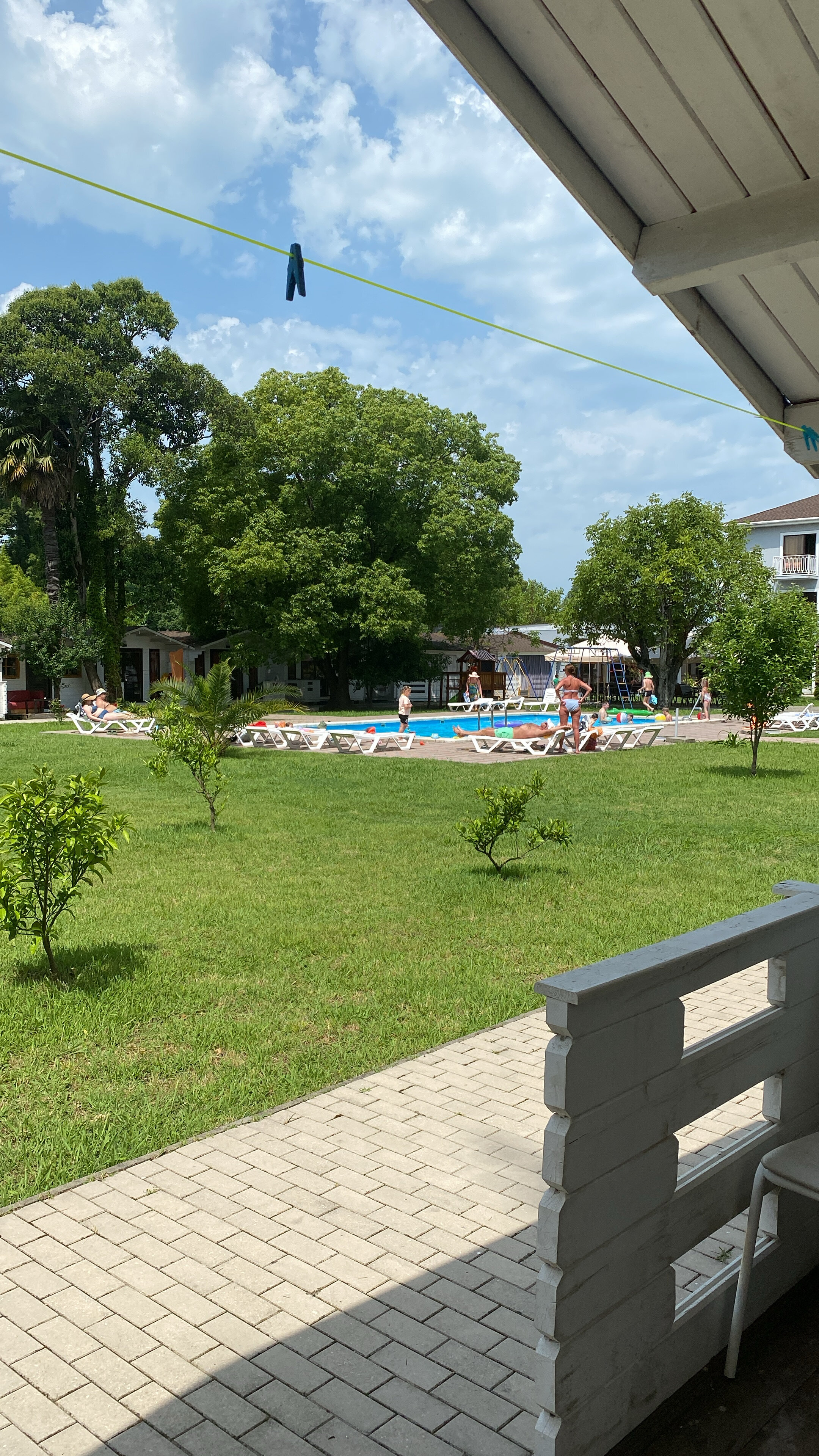 Фото Цитрус 1