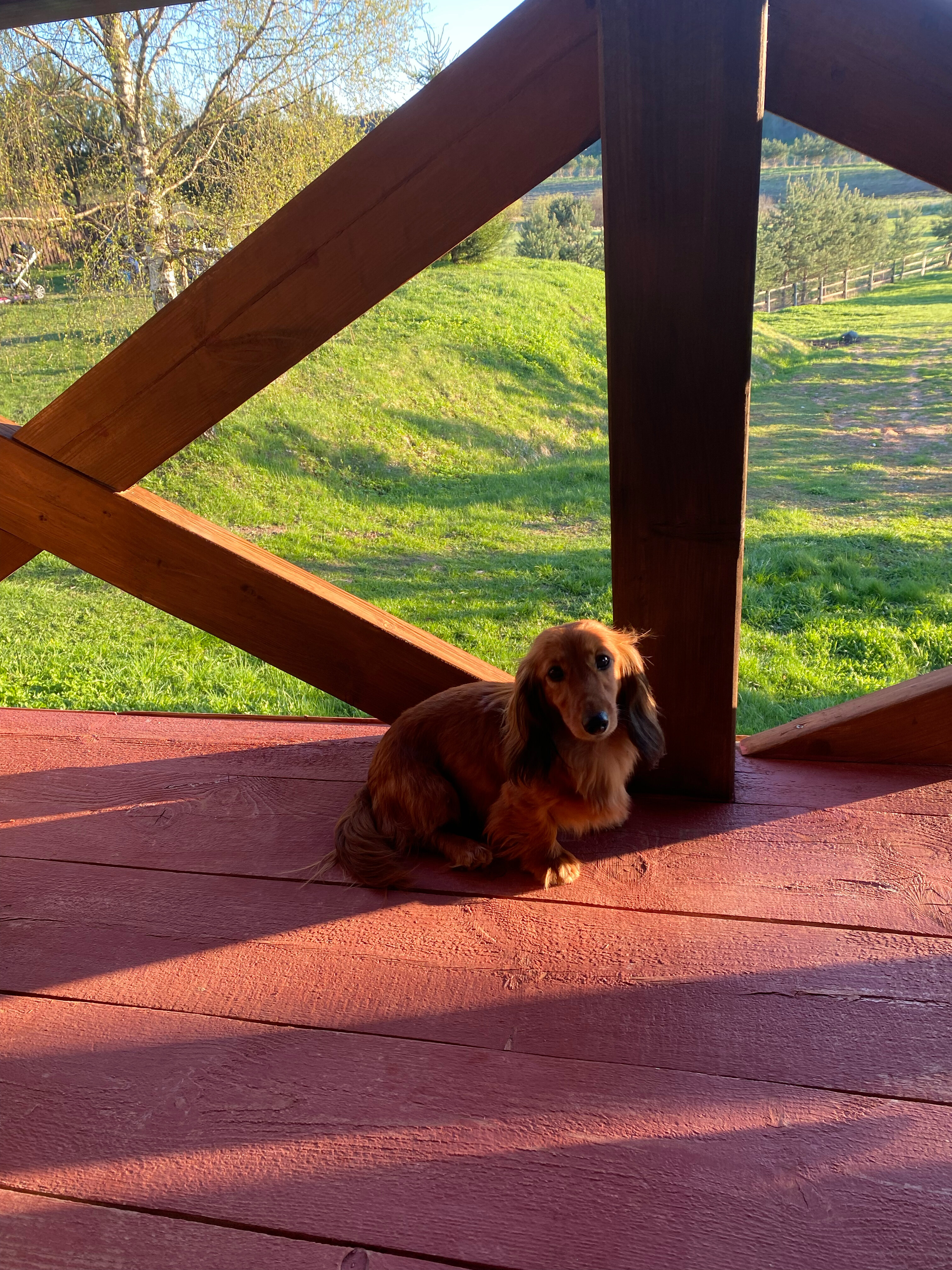 Фото Босфор в Родне