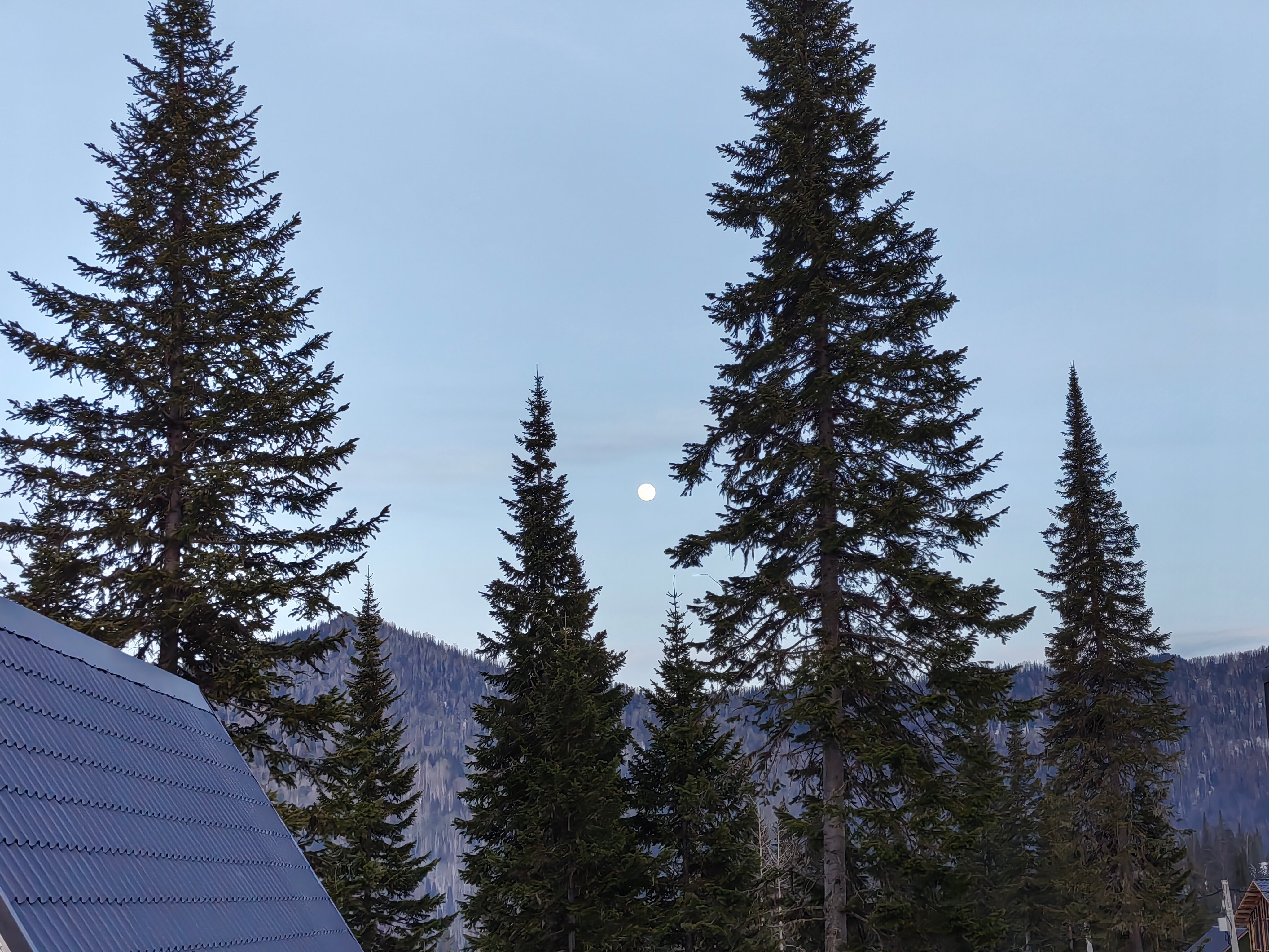 Фото Аура Гор