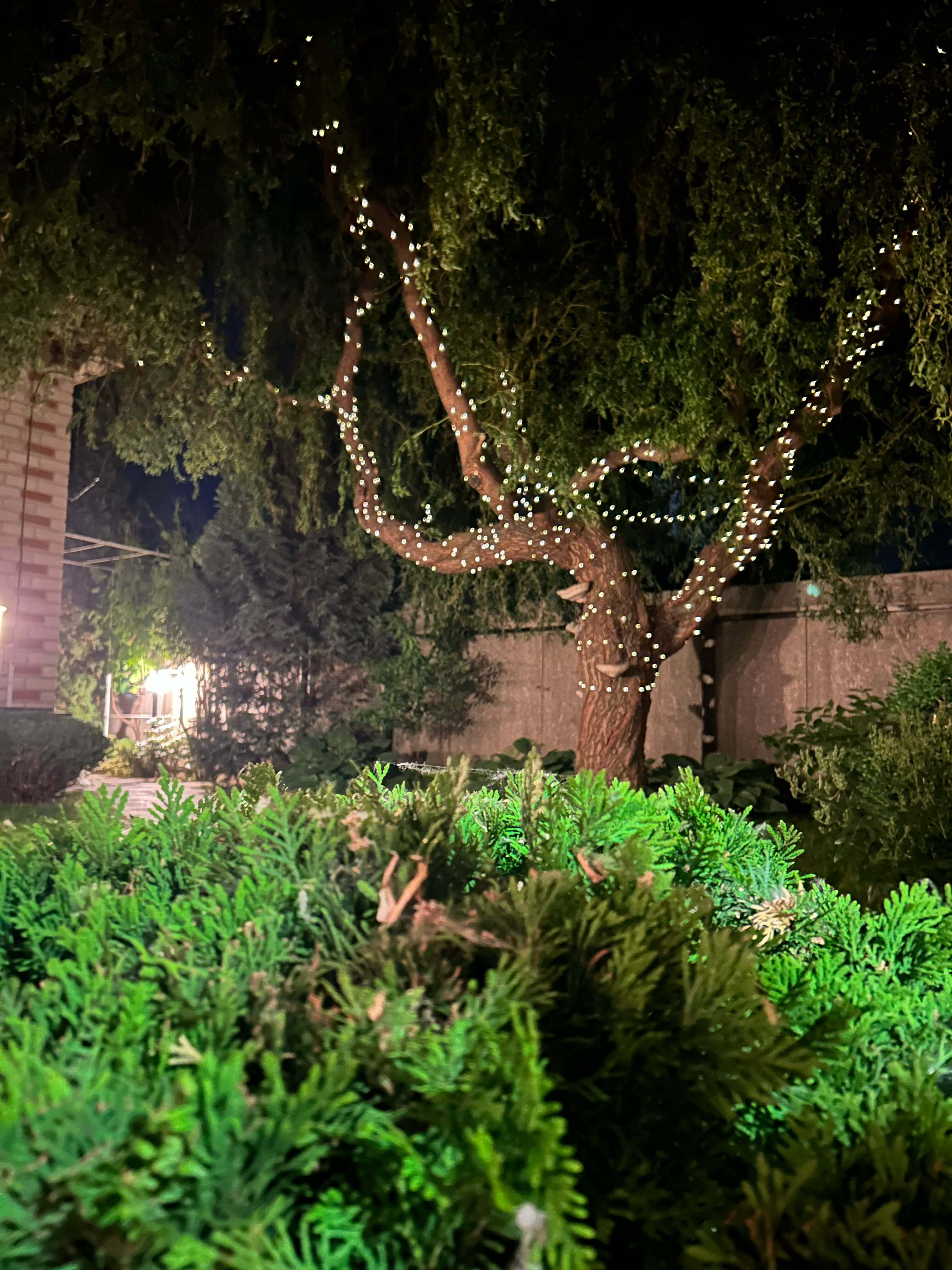 Фото Дворик