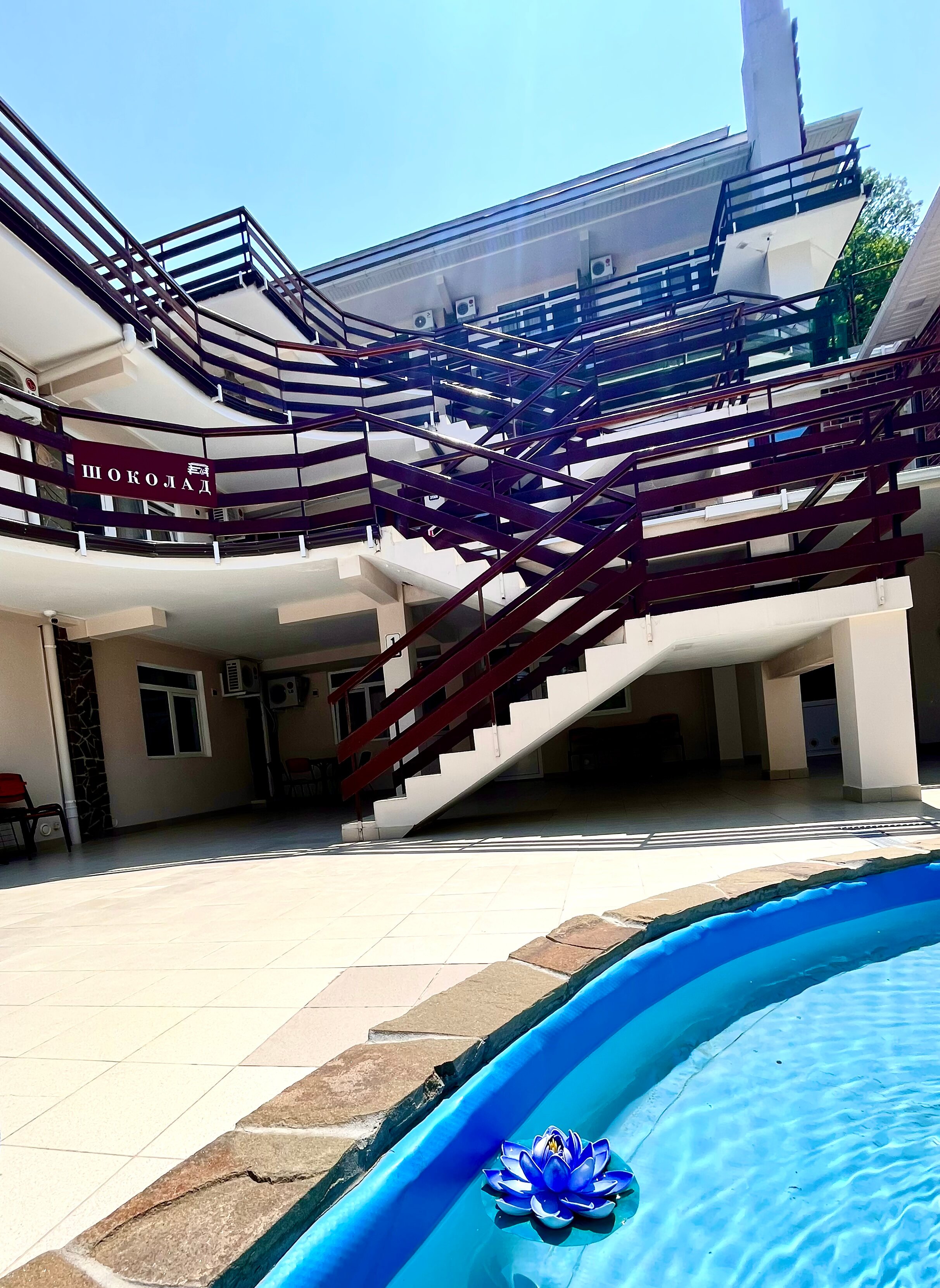 Фото Шоколад