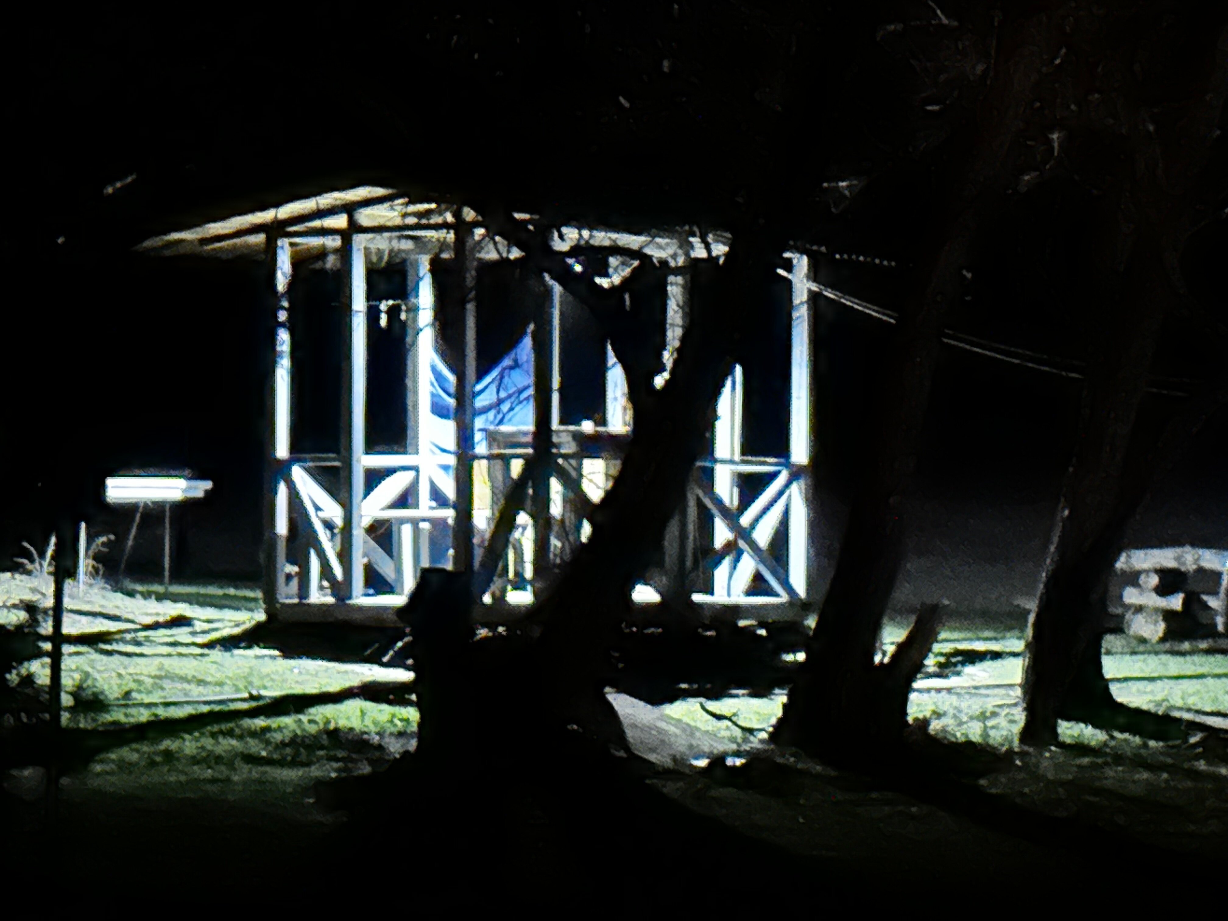 Фото Золотая Дельта