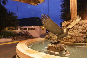 Гостиница Cresta Mowana Safari Resort