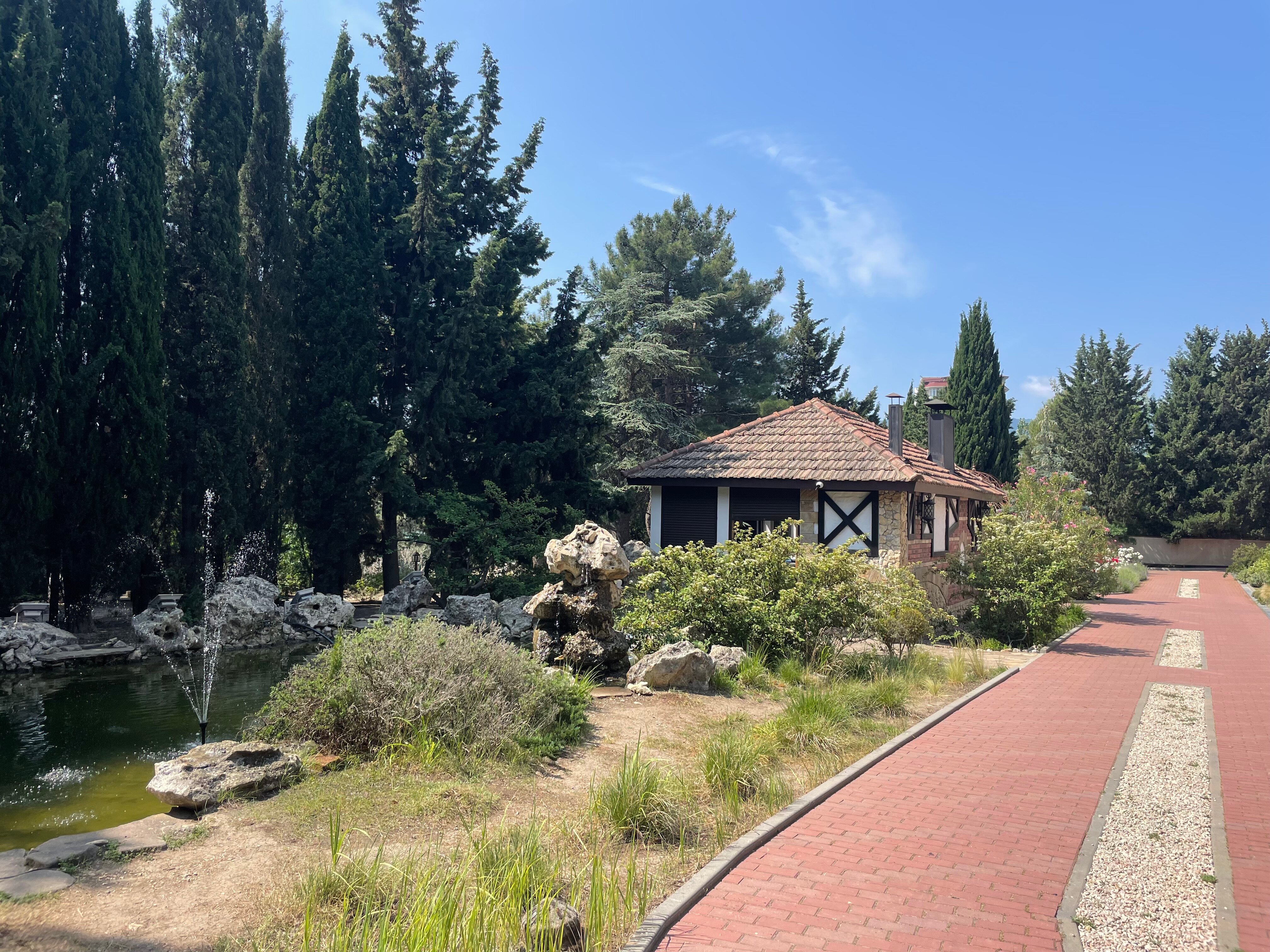 Фото Аквани