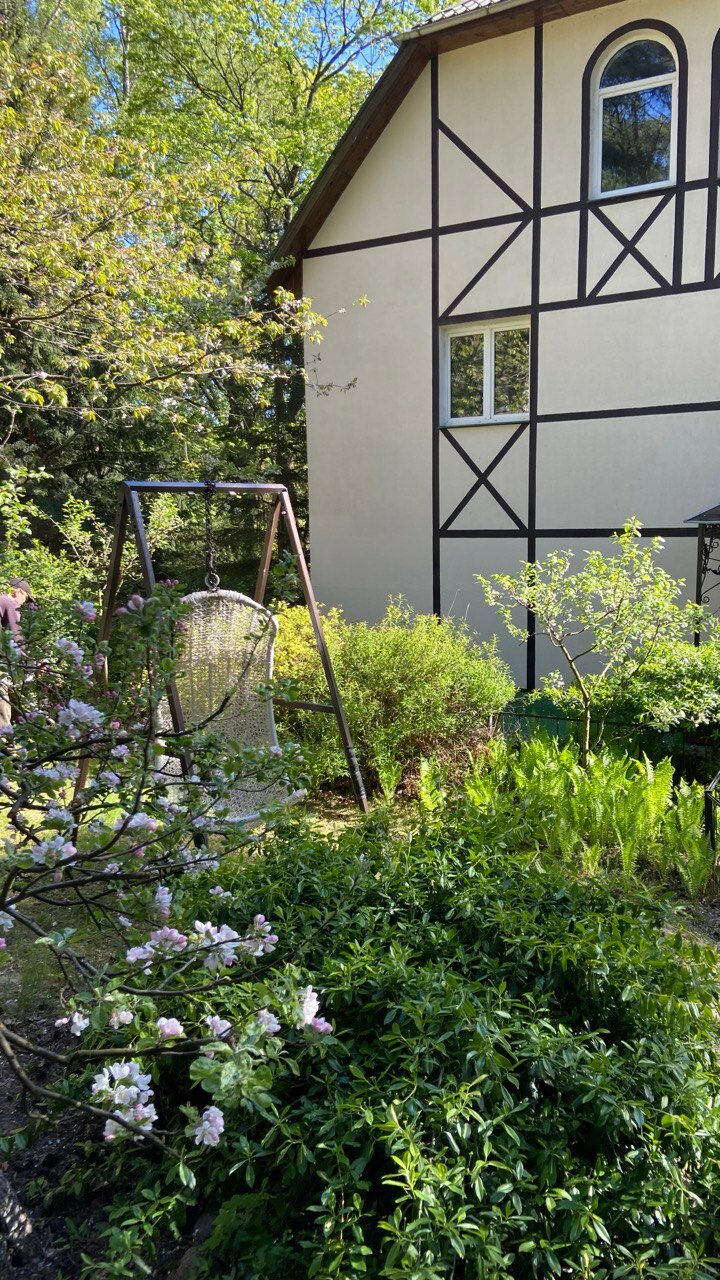 Фото Дом Дракона