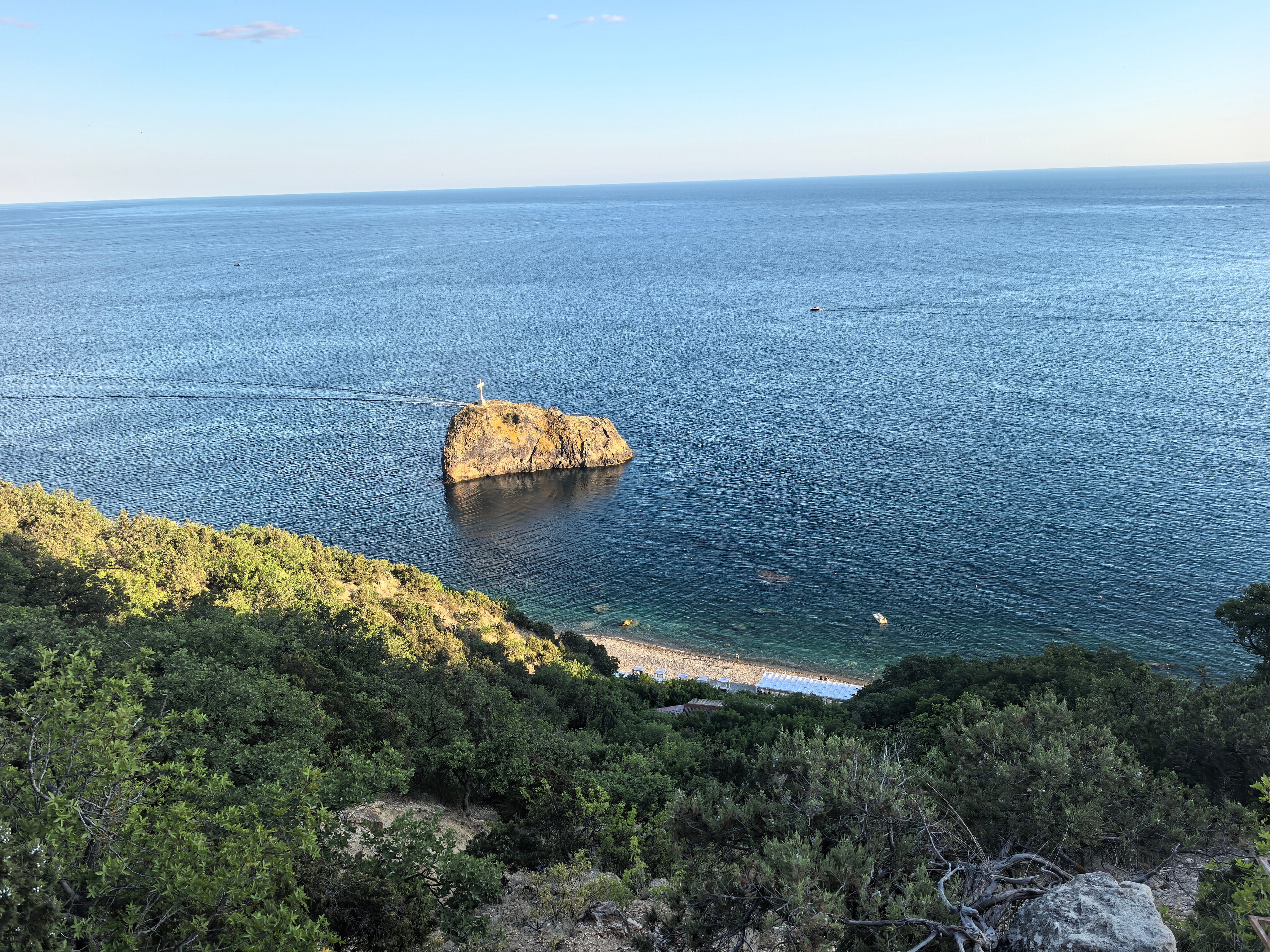 Фото Дельфин