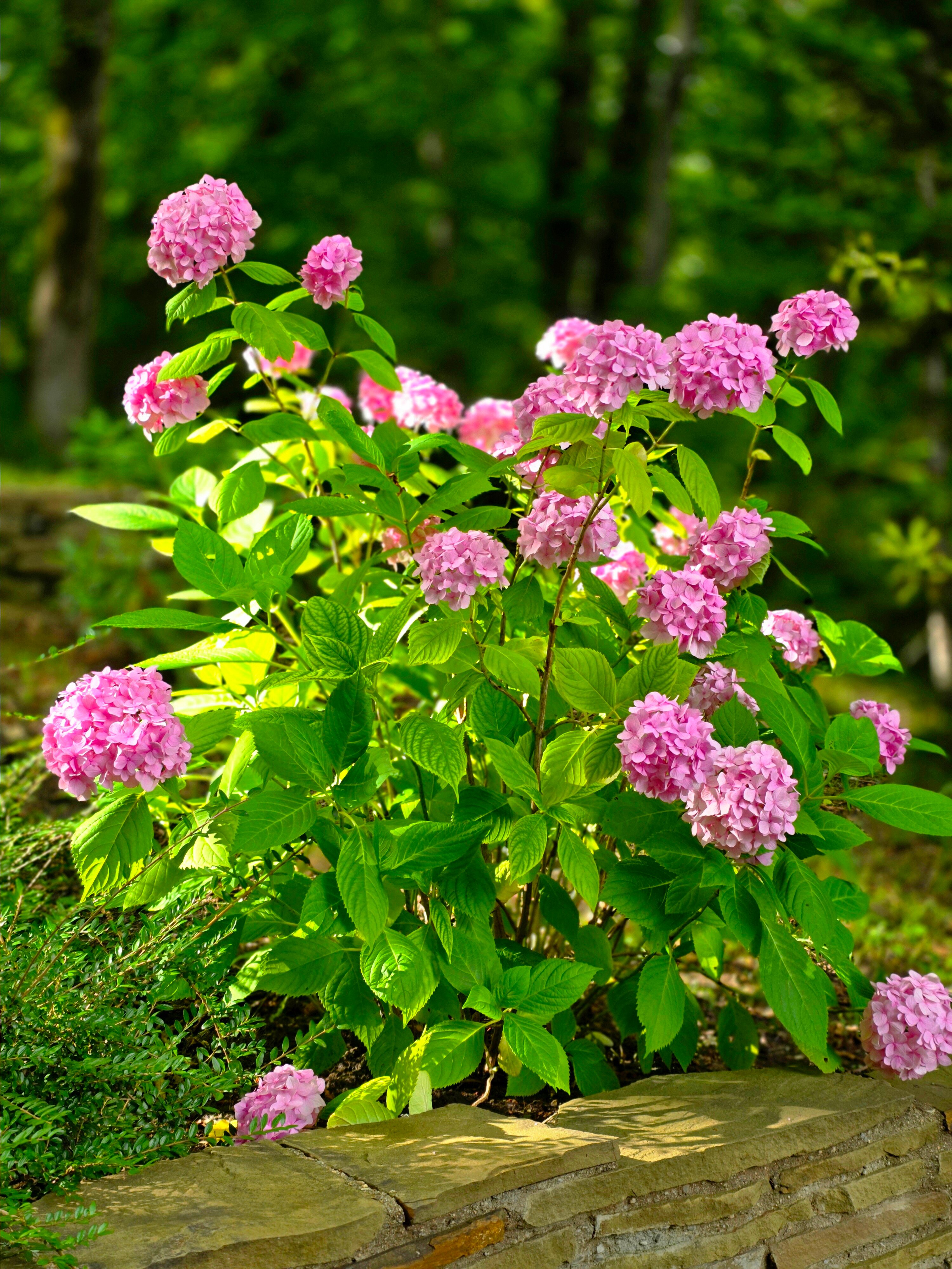 Фото Белая Русь