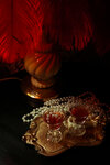 Богема (Saint Petersburg, Rubinshteyna Street, 28Д) ، the glass room