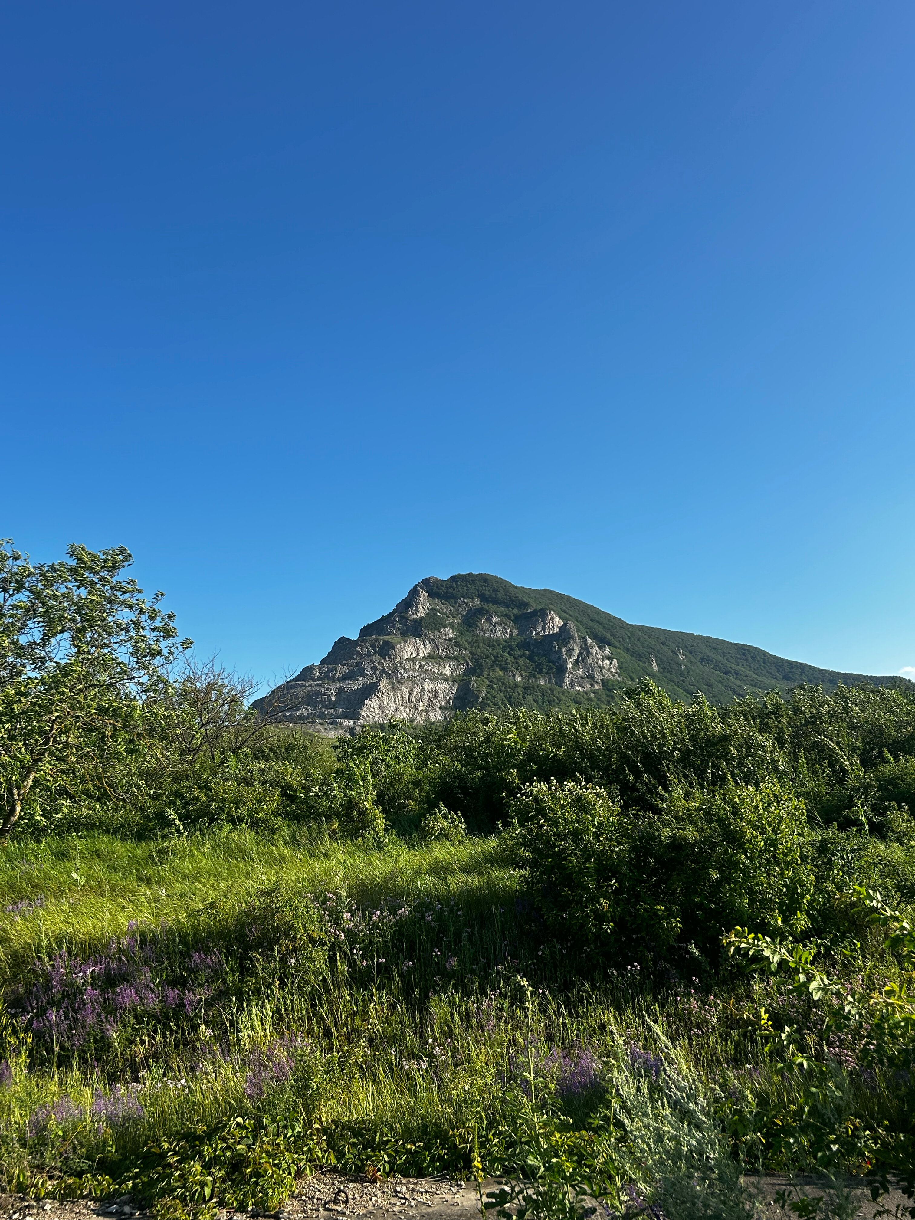 Фото Rent Min Vody на улице Мира 14