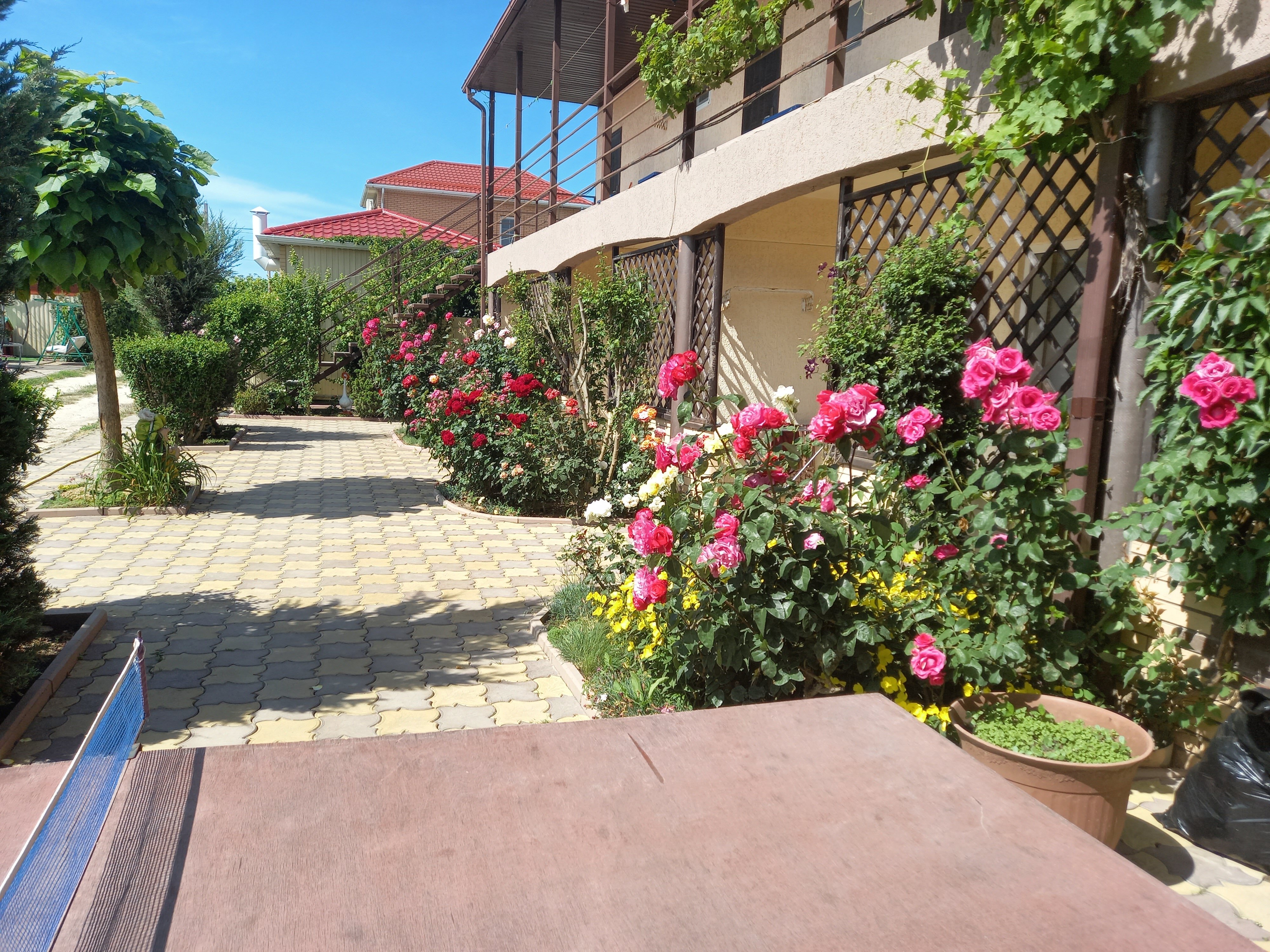 Фото Жемчужина