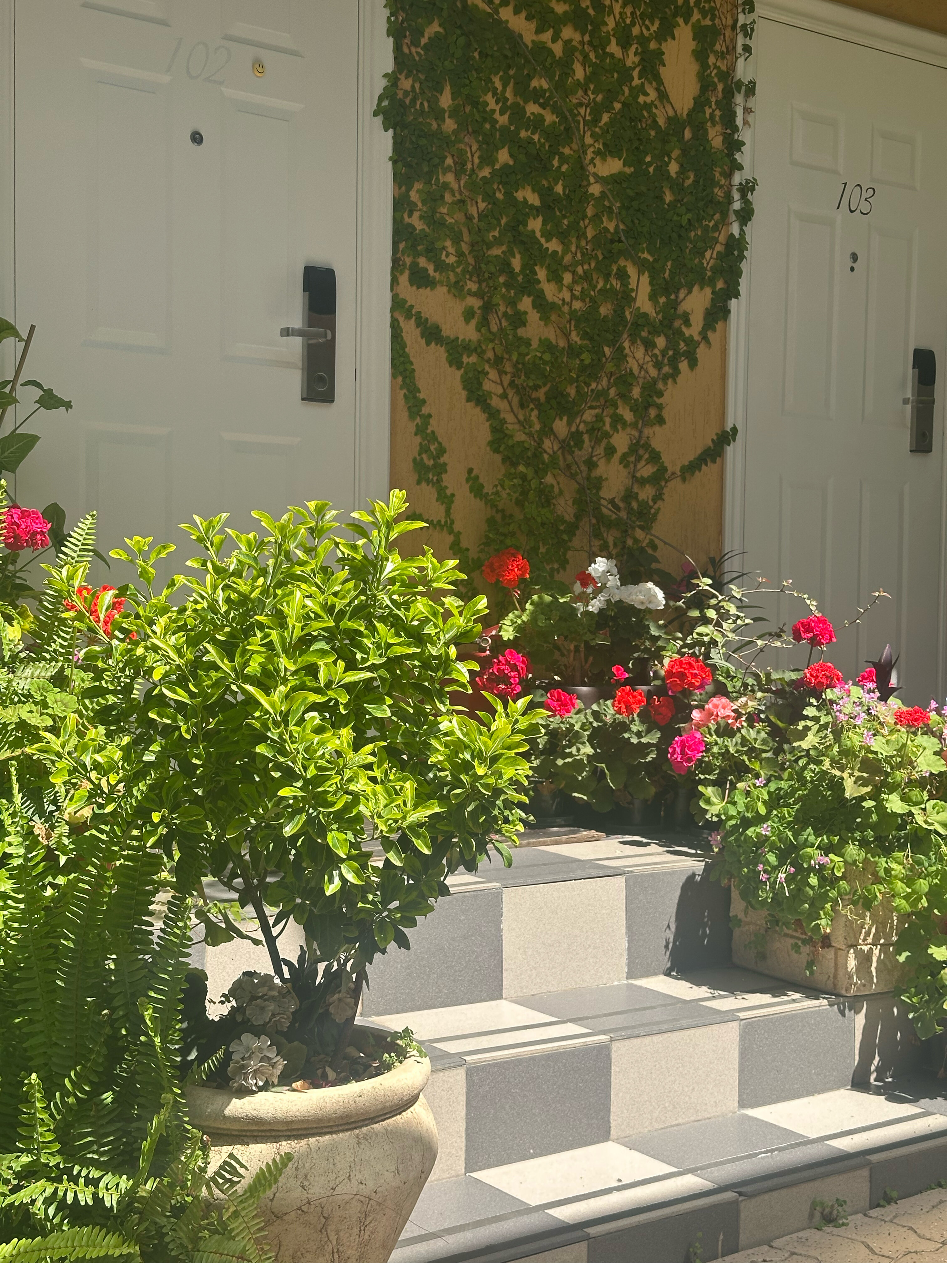 Фото Вилла Дежа Вю