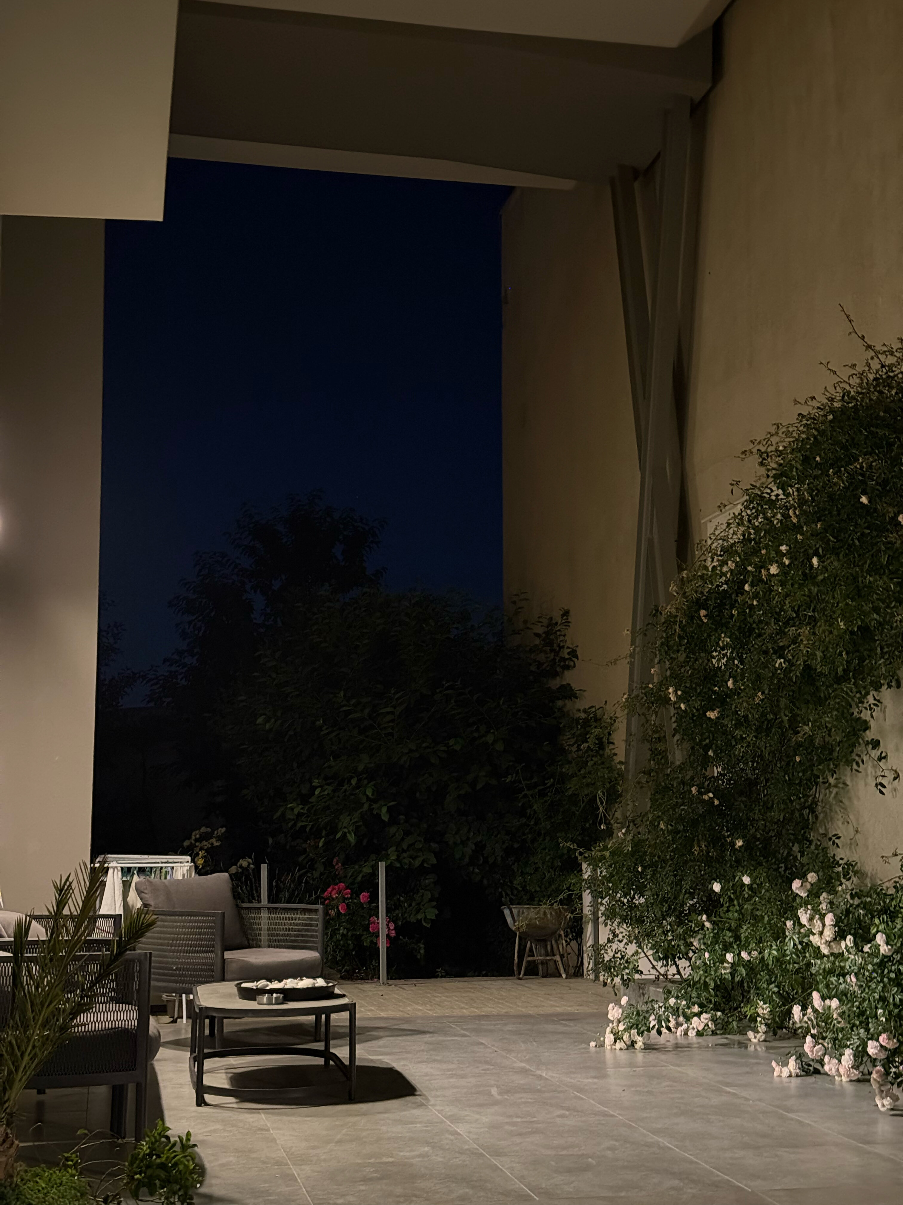 Фото Veronika Home Tbilisi