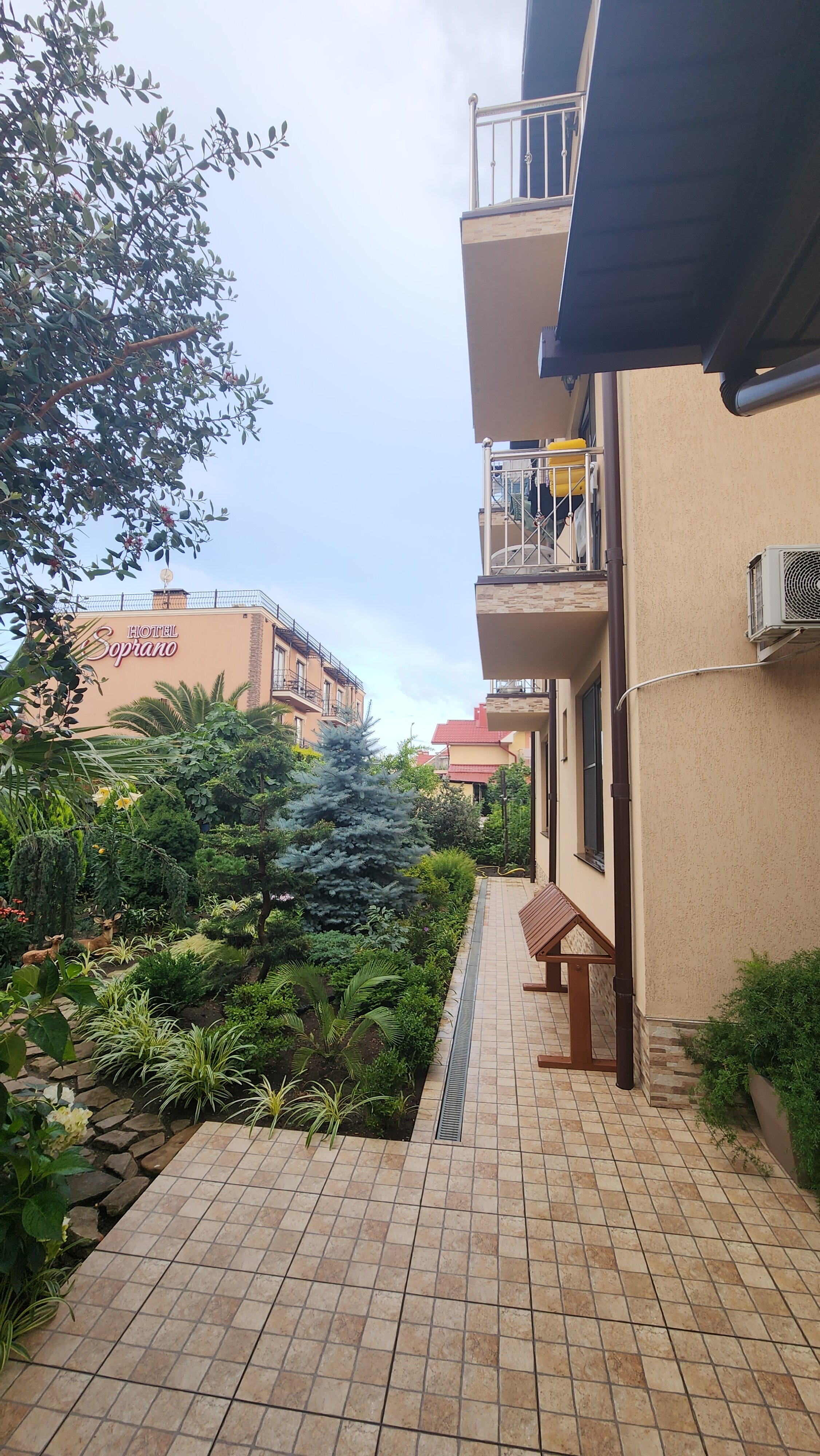 Фото Софанна