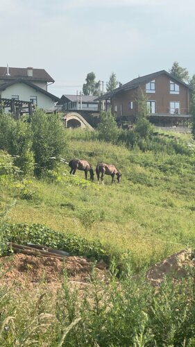 Иное жильё Альпика в Яхроме