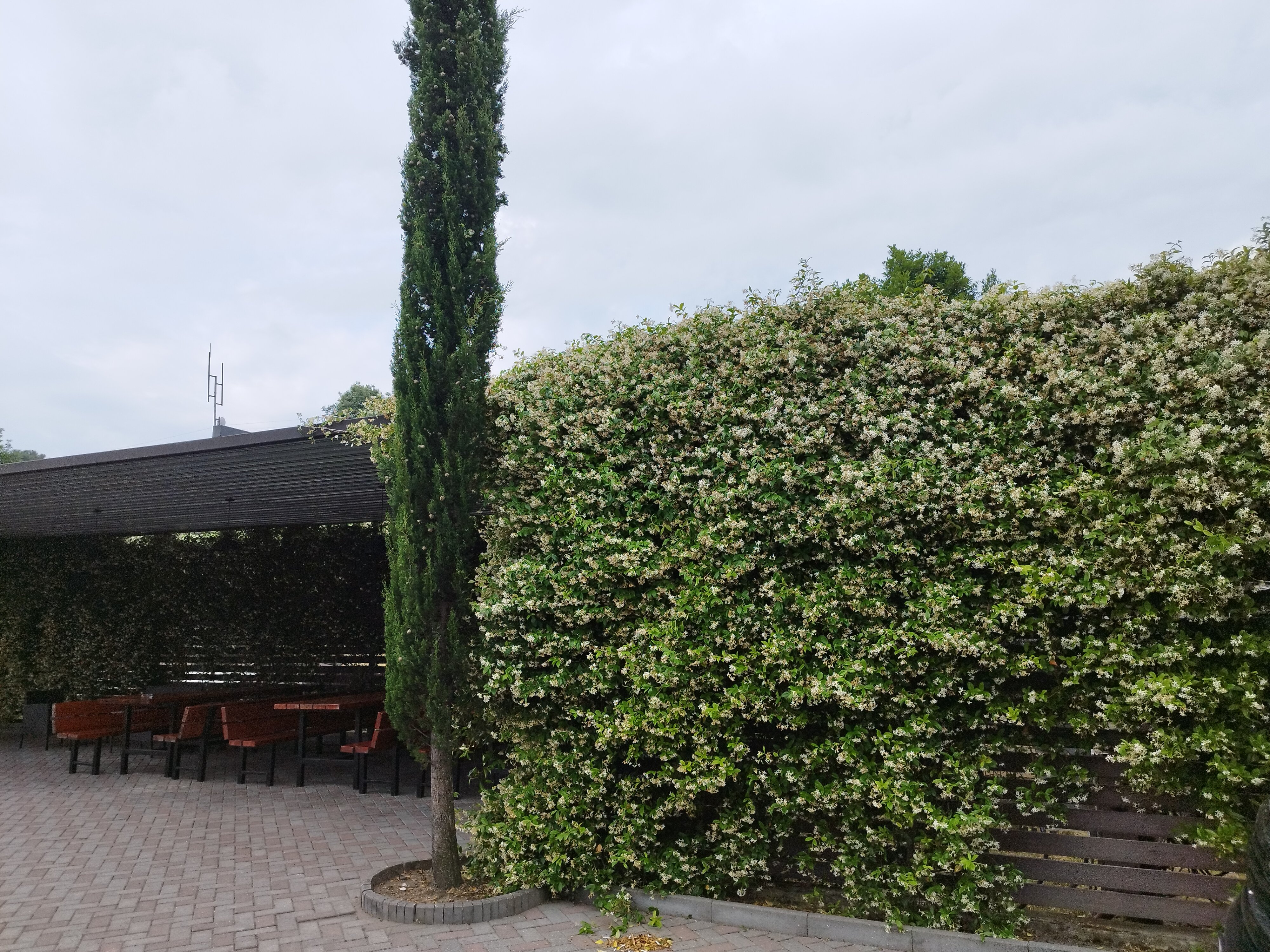 Фото Mandarin Hotel